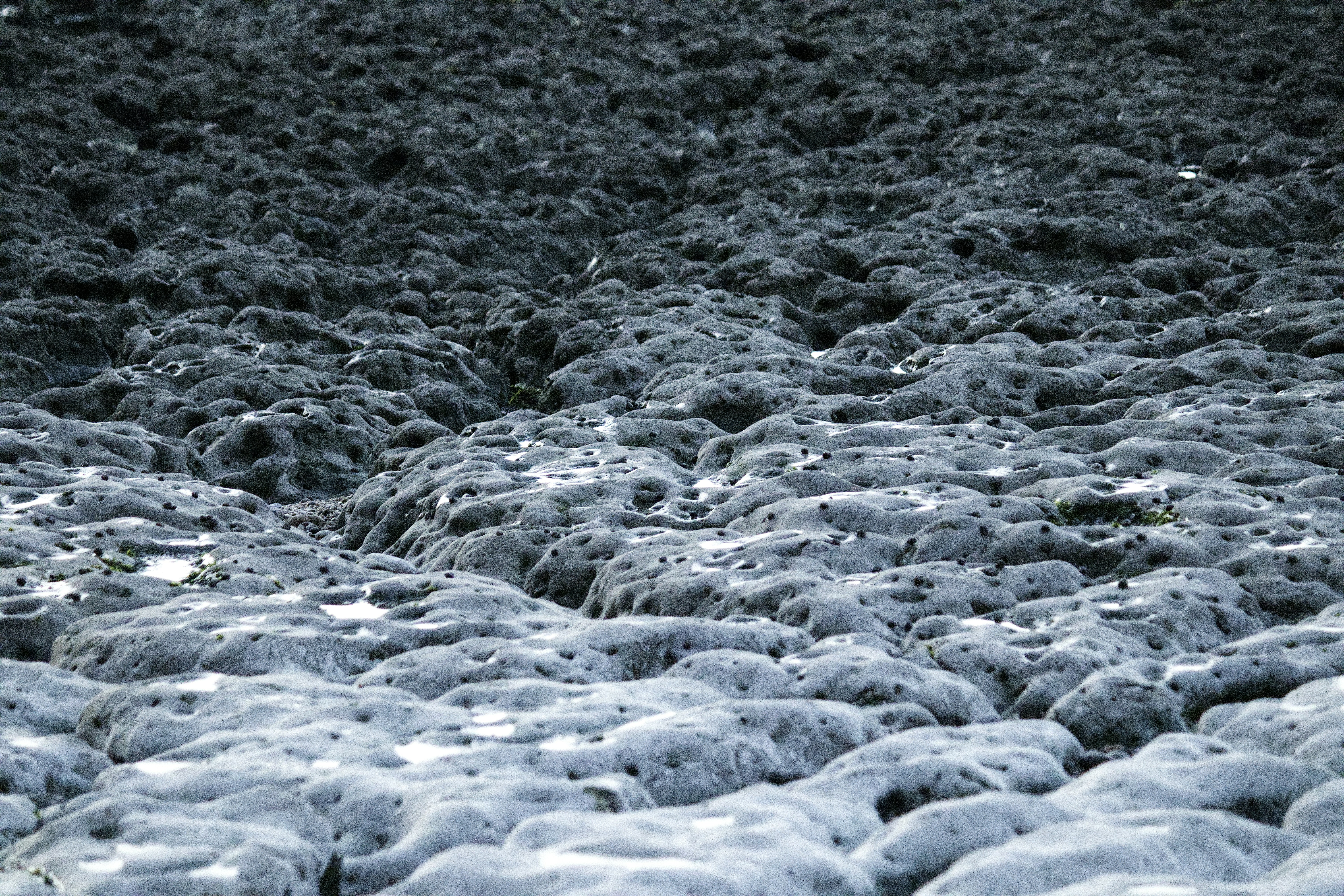 Rough textured ground with dark and light patches