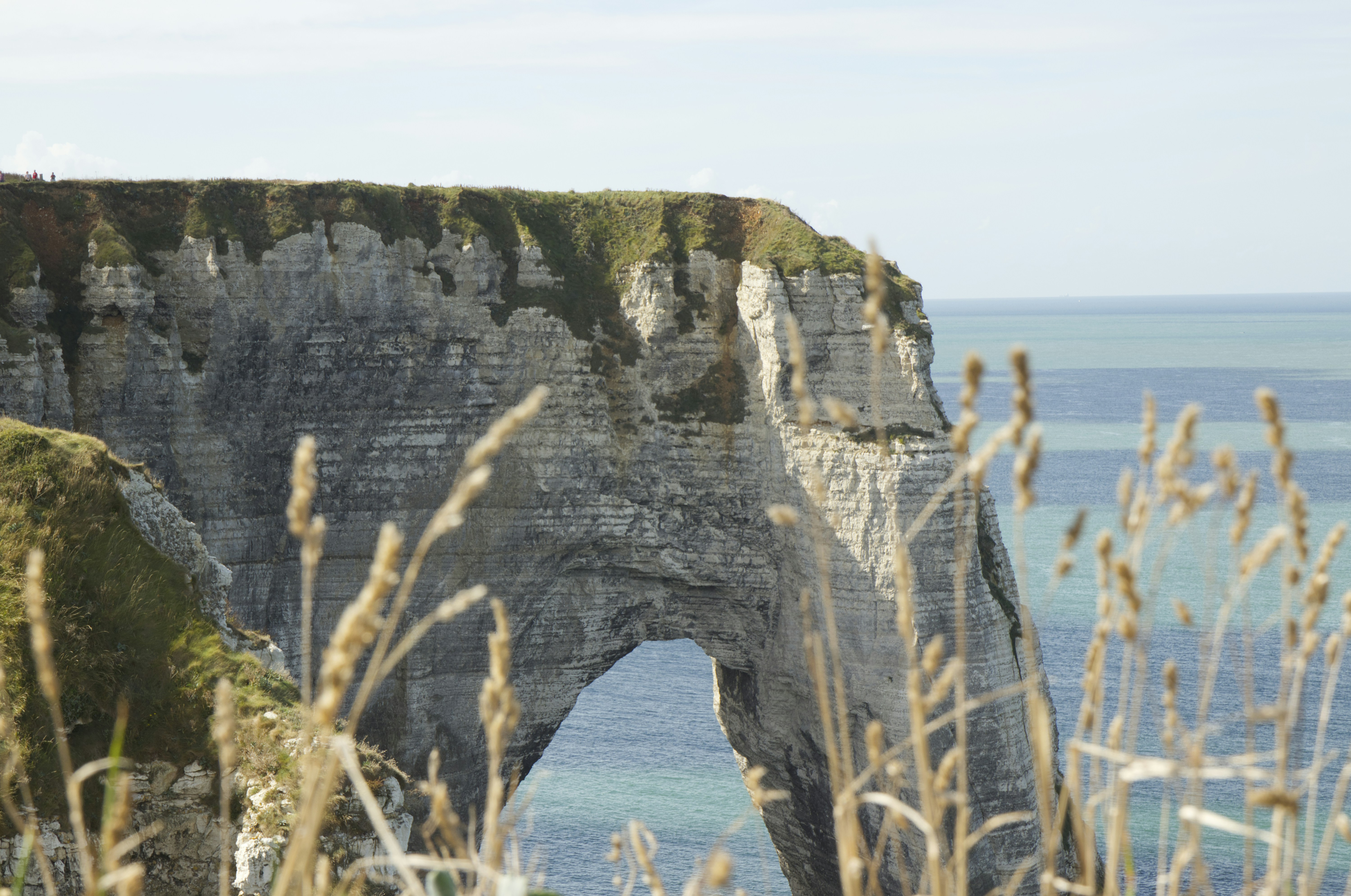 Photo by nickandreka