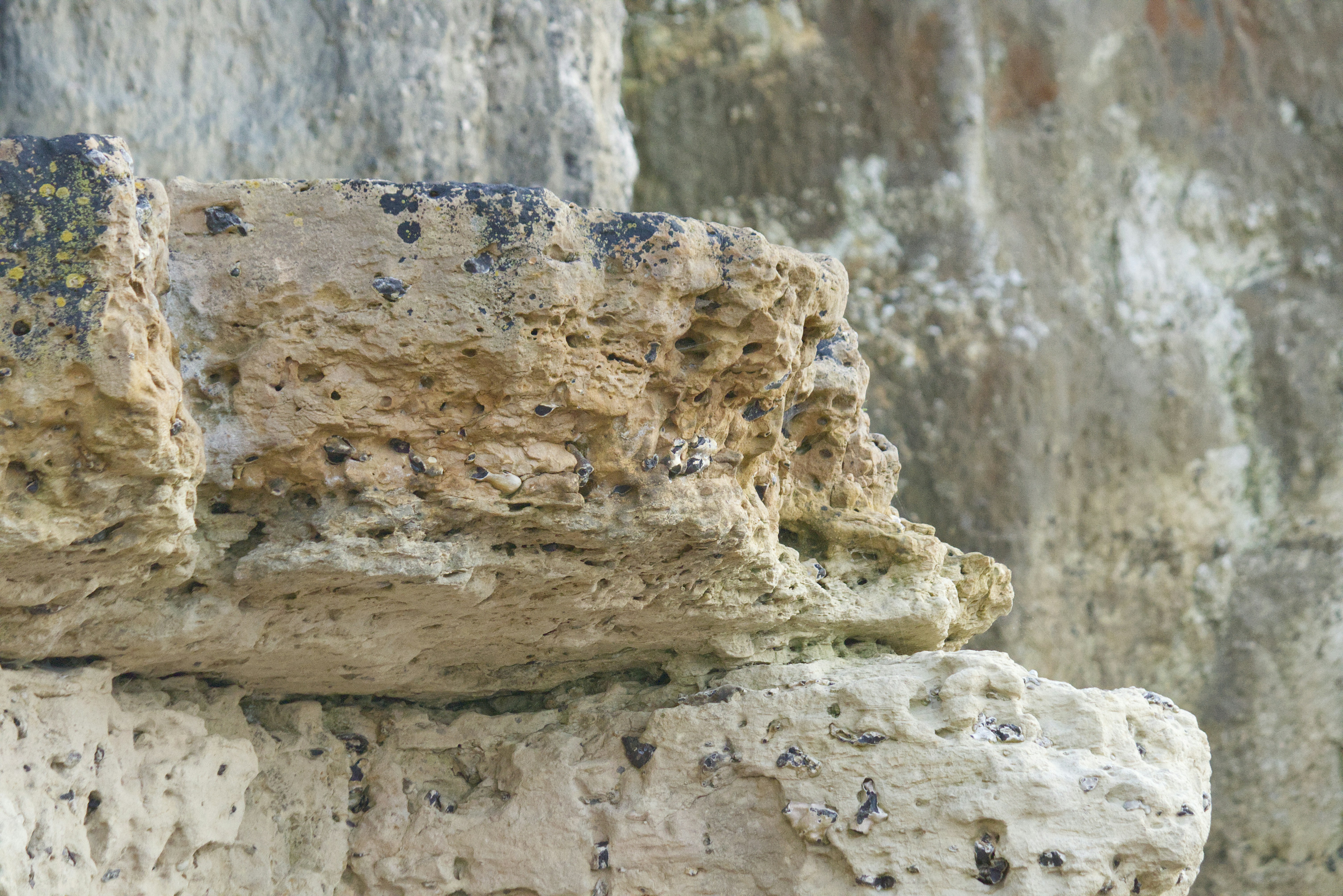 Close-up of weathered porous rock formations