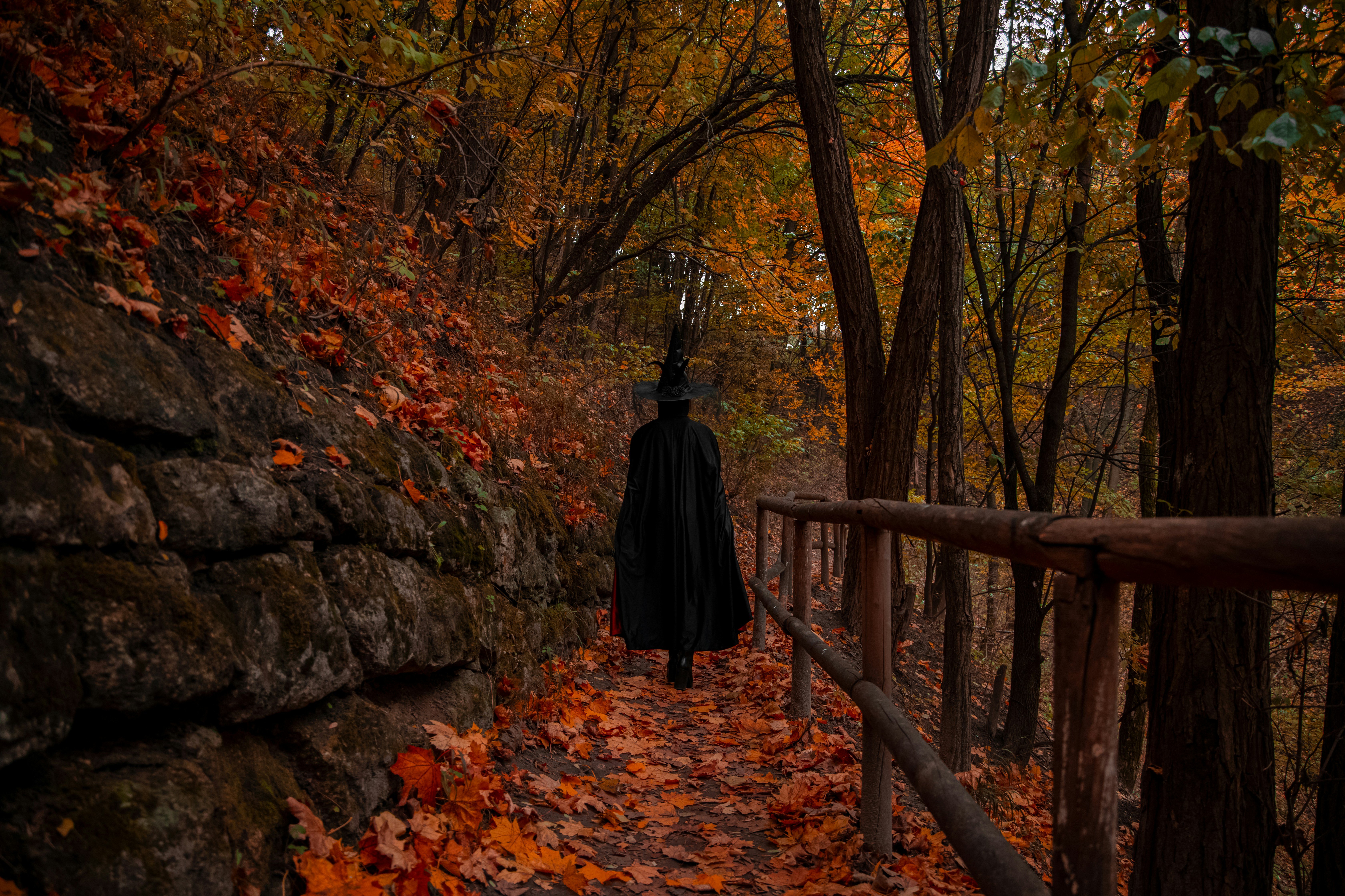 Person in witch hat walks on autumn forest path