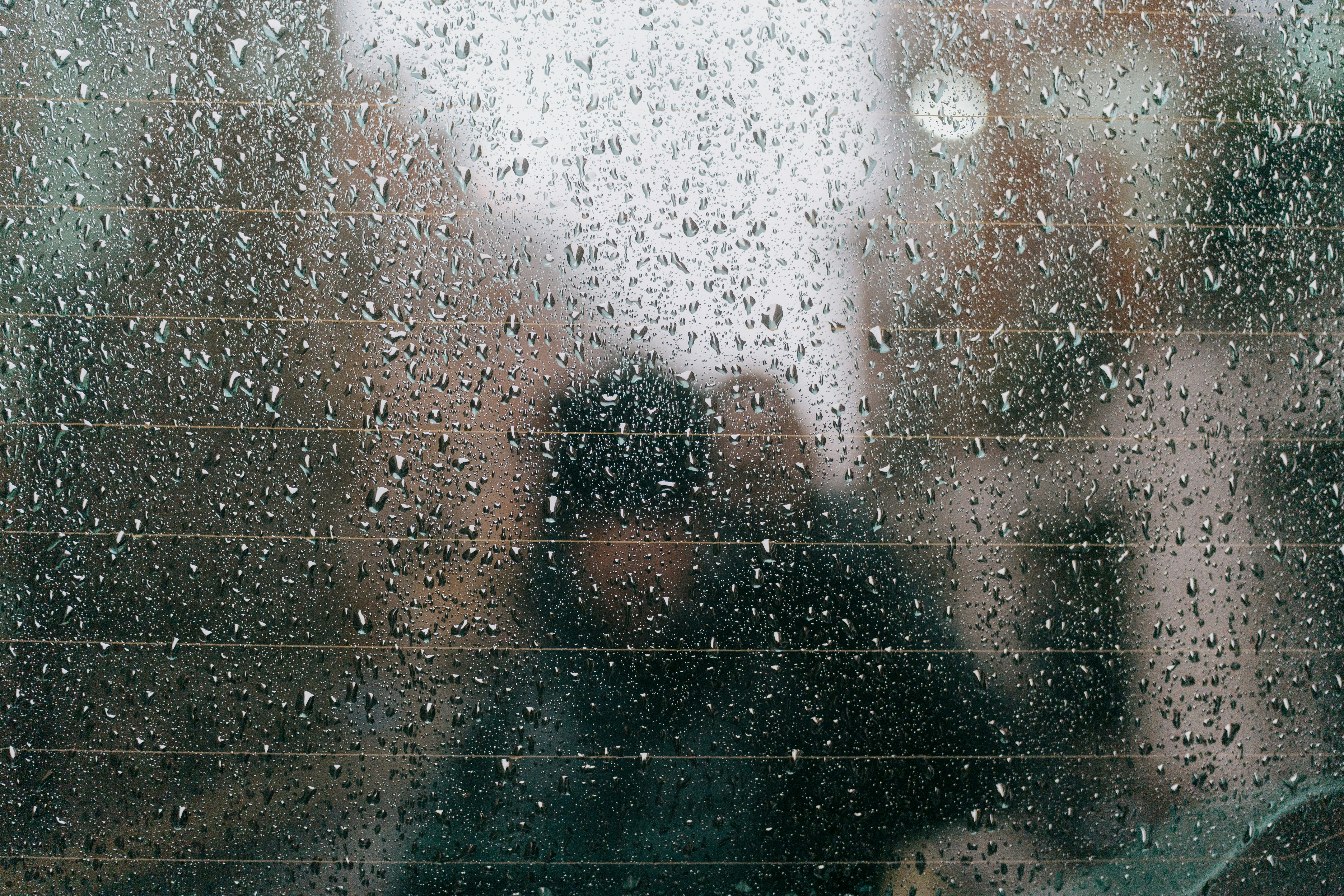 Photo by bfenton_photo