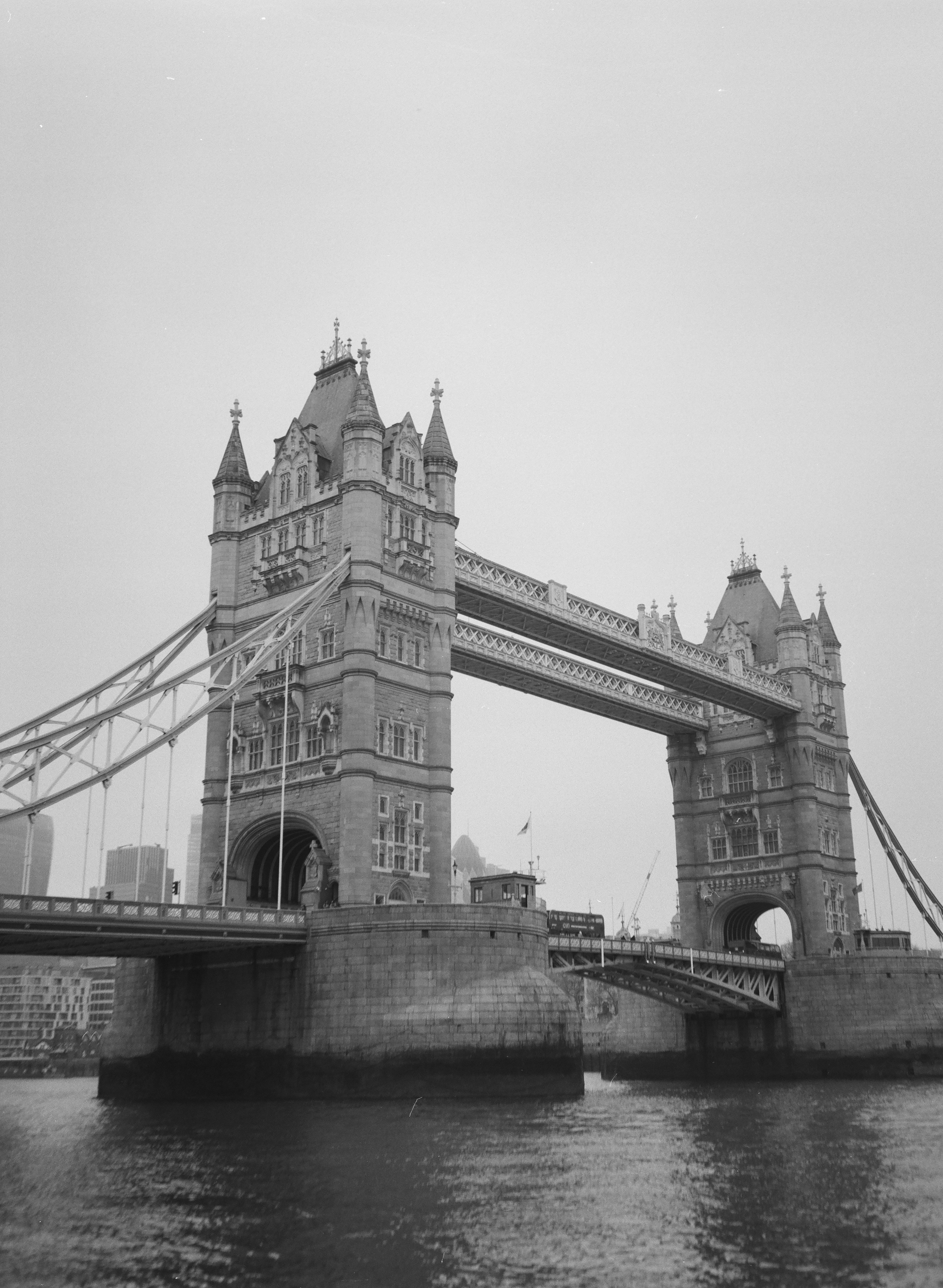 Photo by intrepidfilm