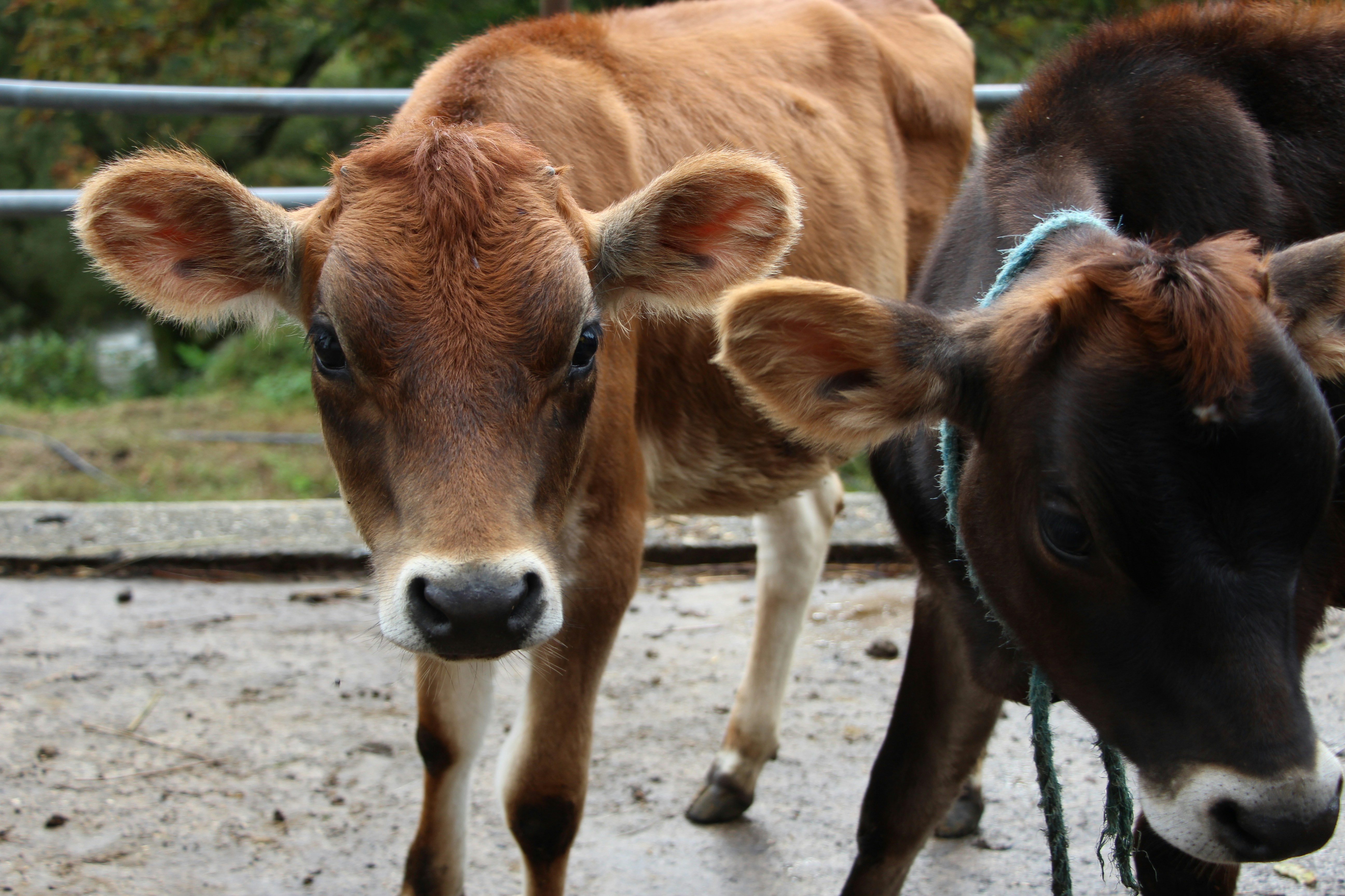 Photo by miznano2000