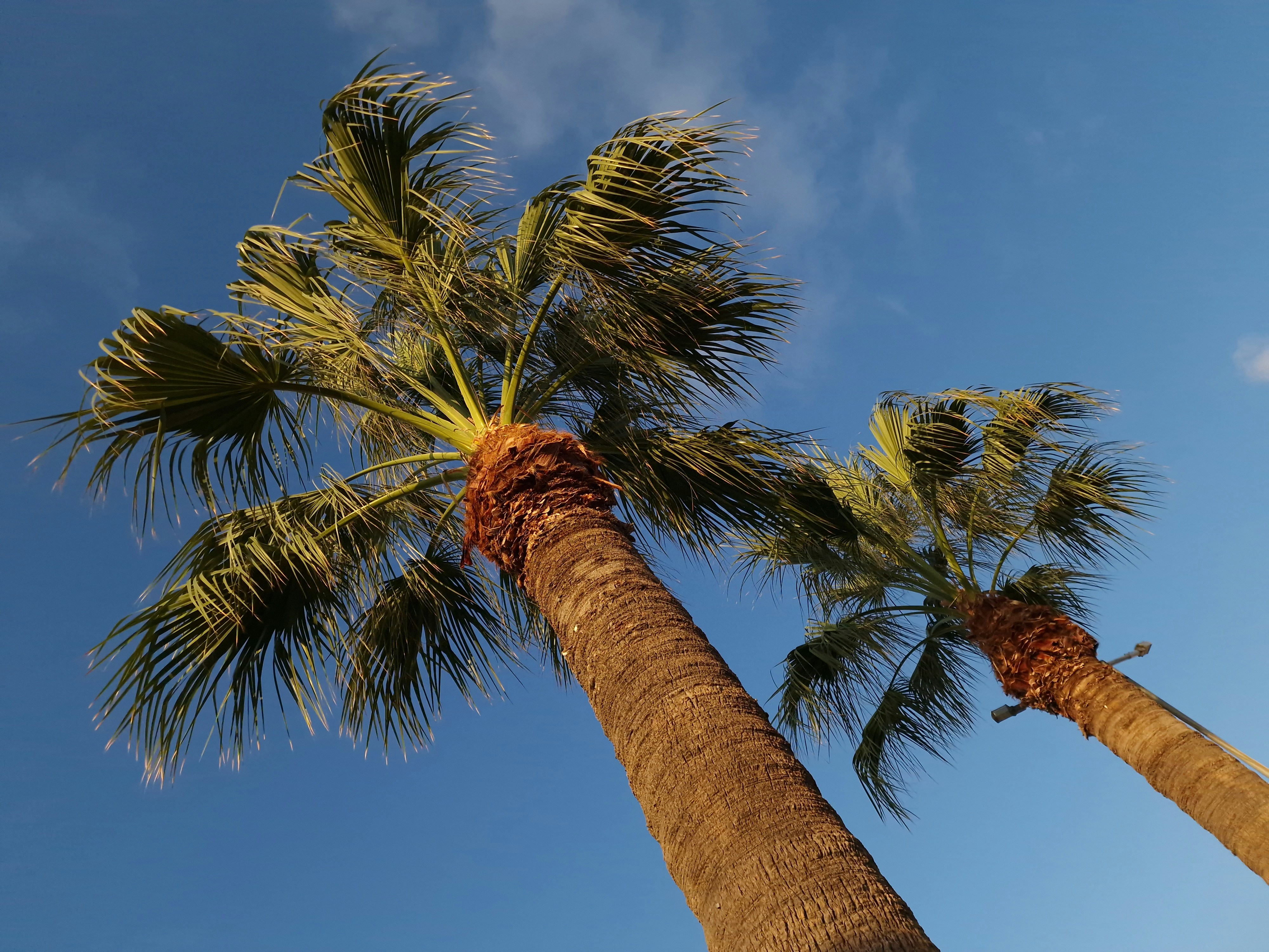 Photo by anastasius1985