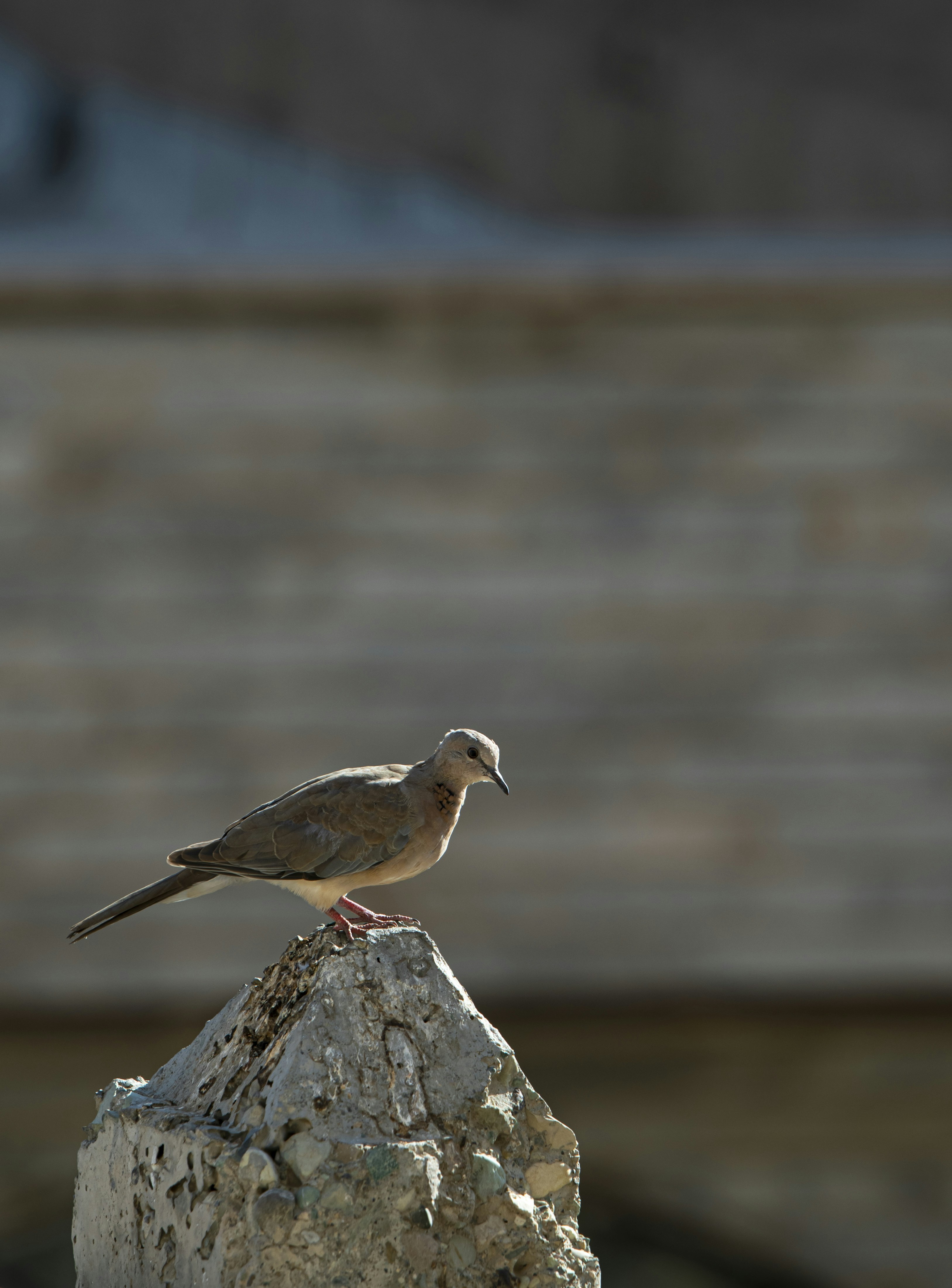 Photo by nimaghazaei