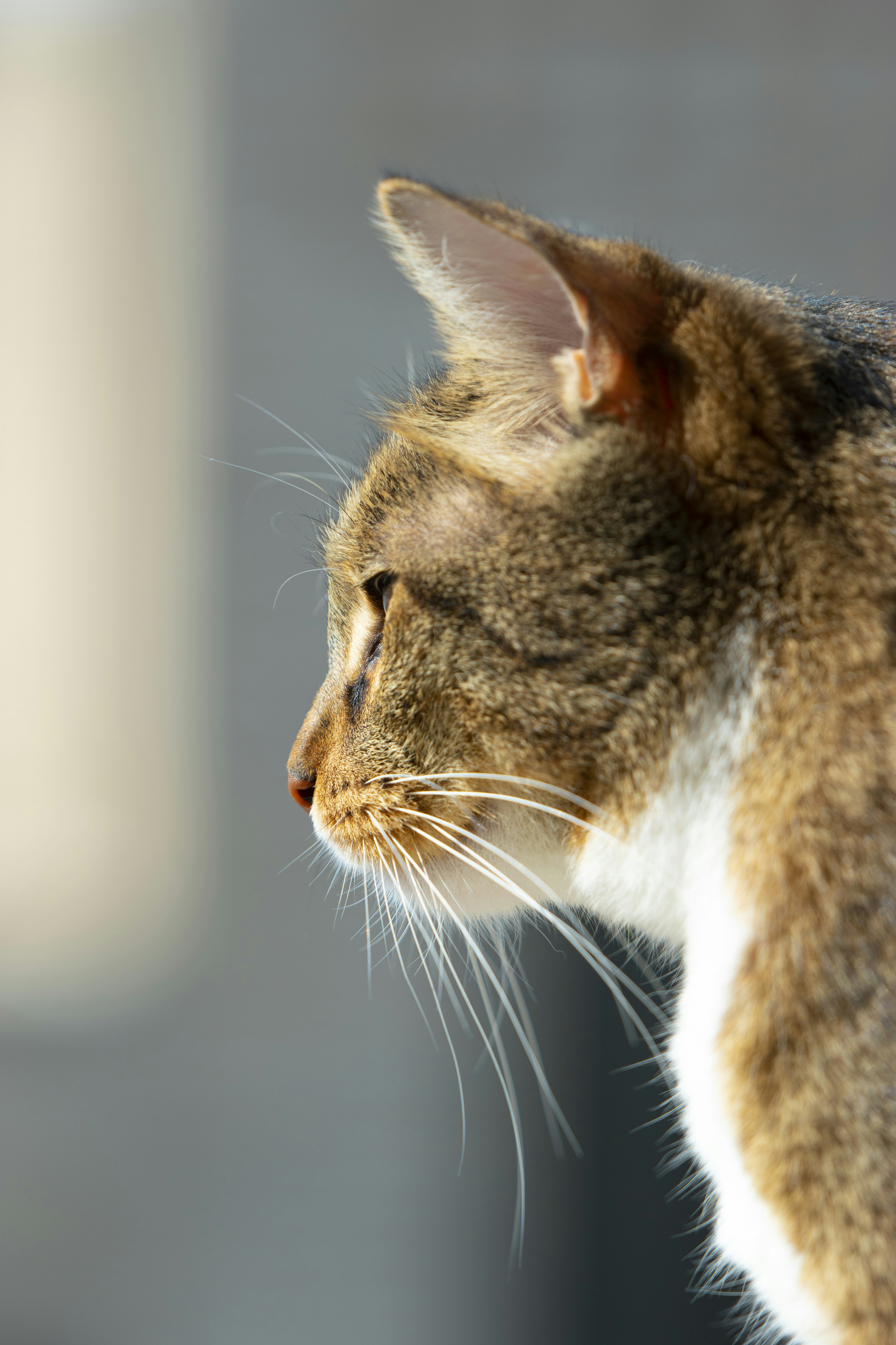 Photo by nimaghazaei