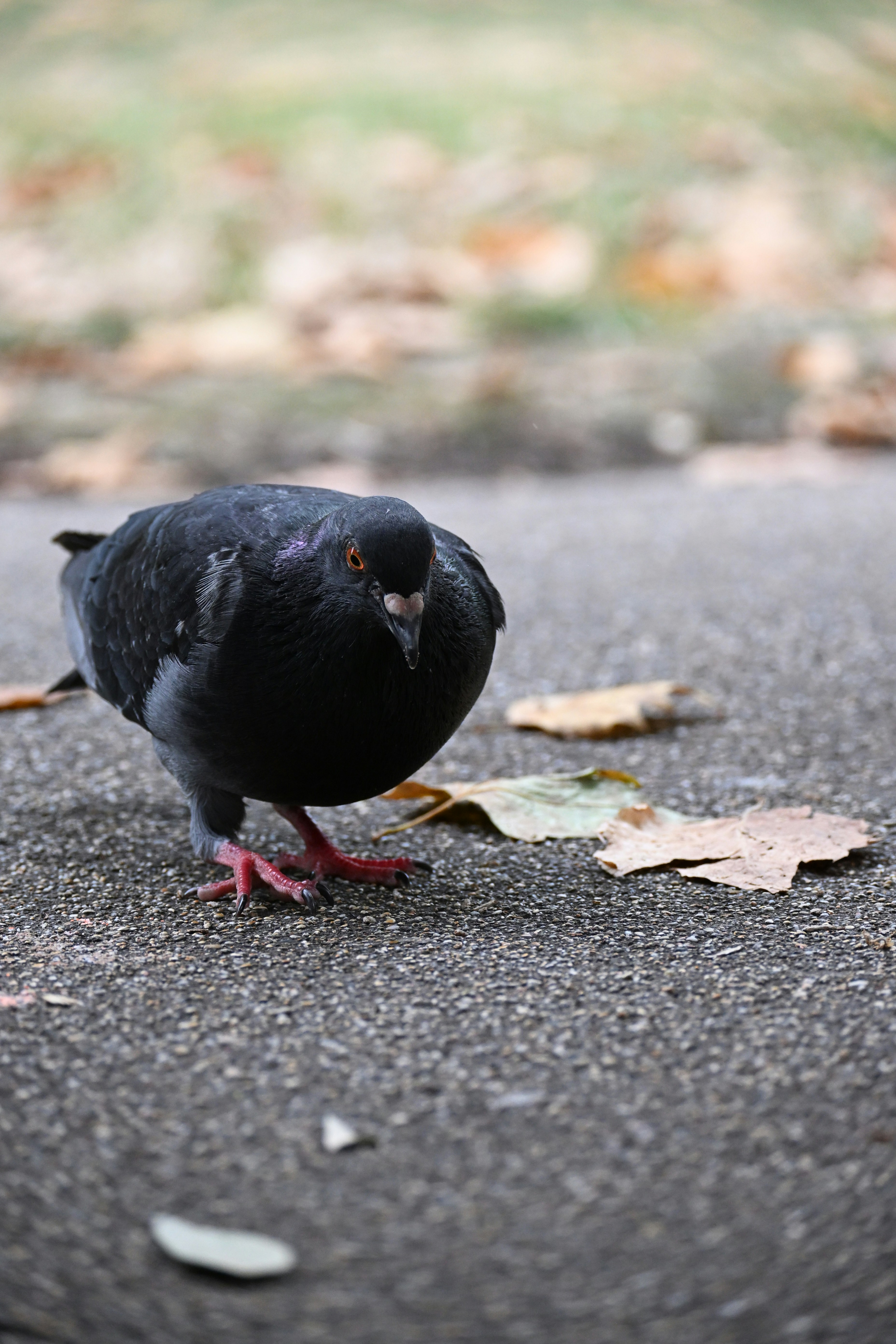 Photo by halilcelikhic