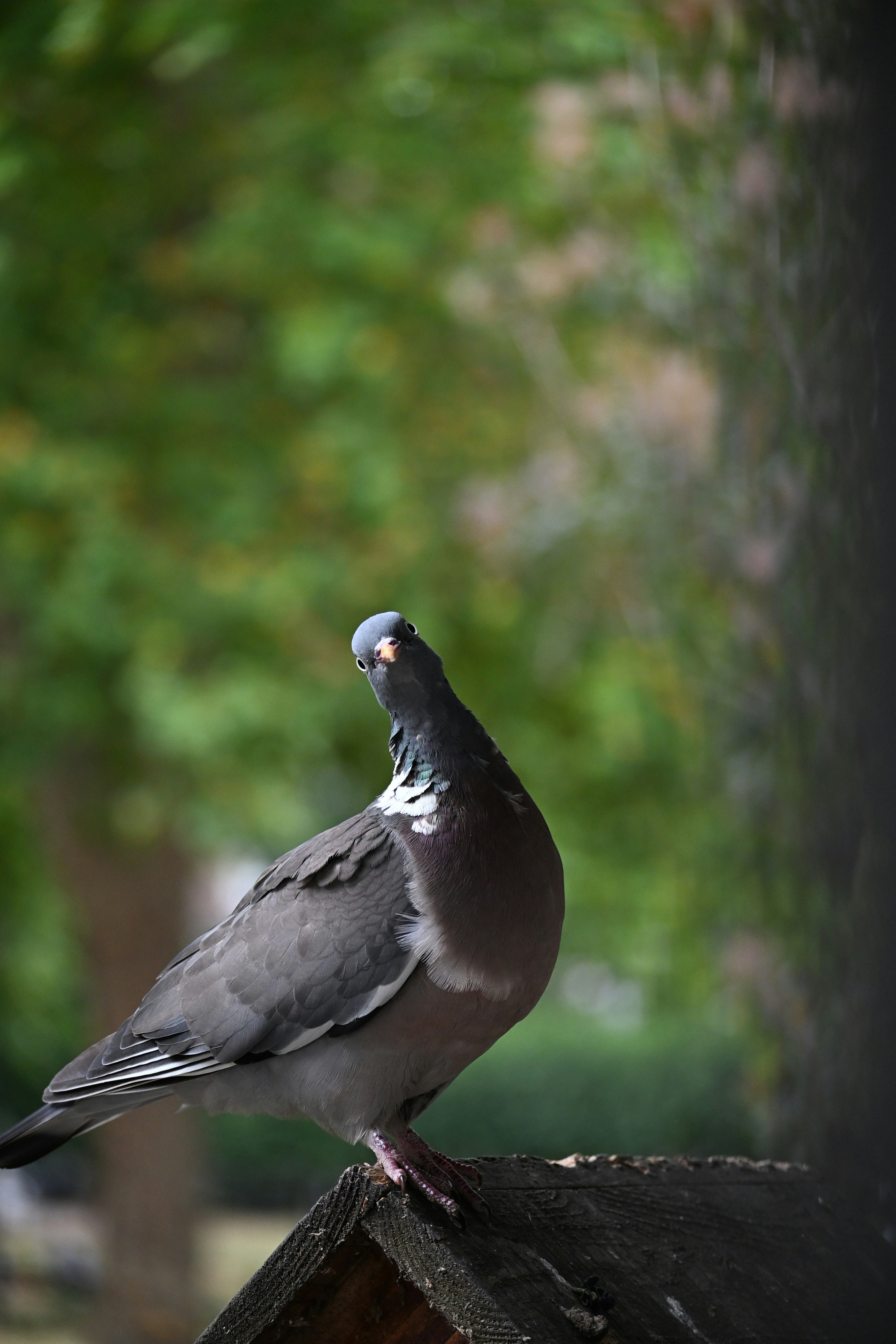 Photo by halilcelikhic