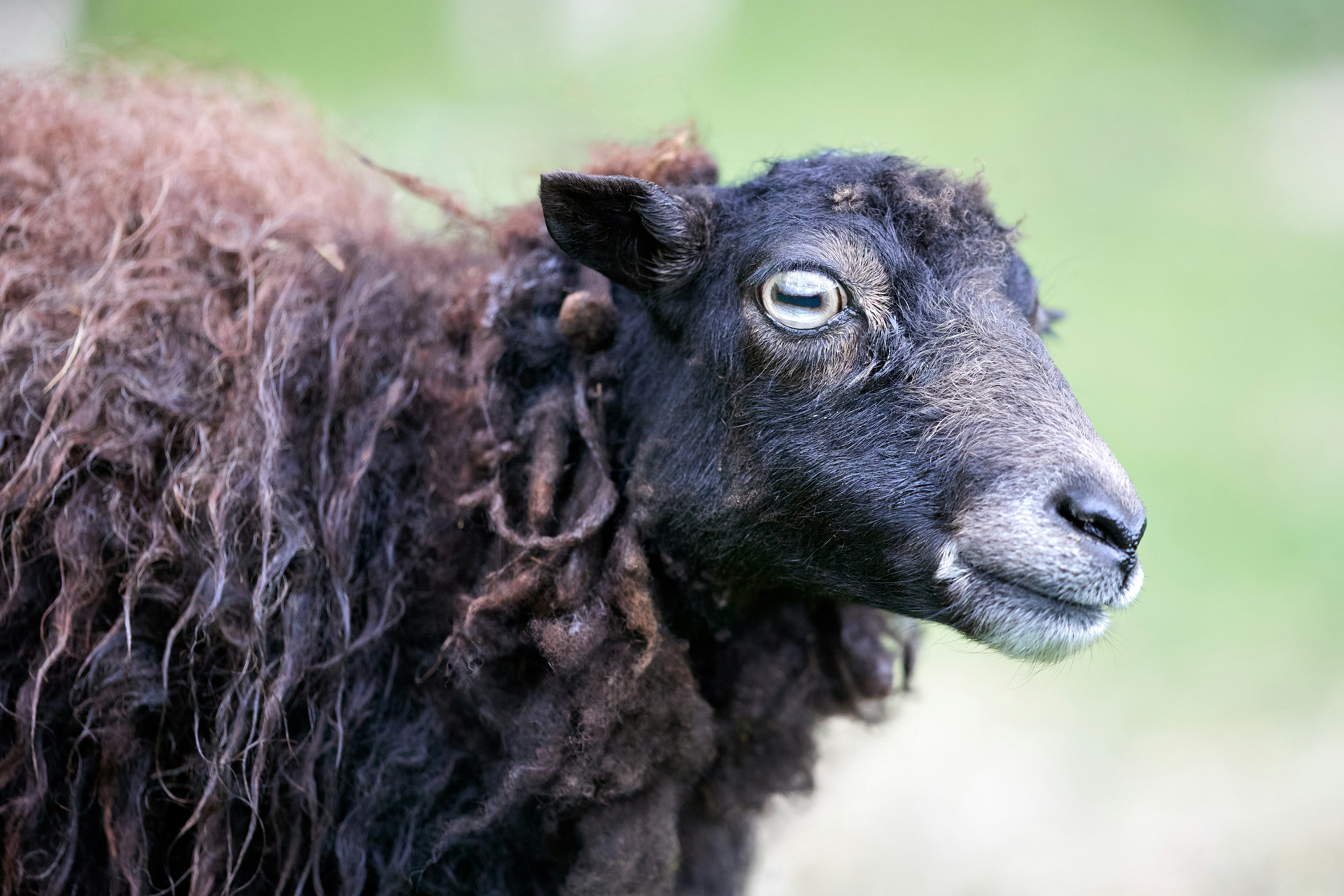 Photo by erwinbosman