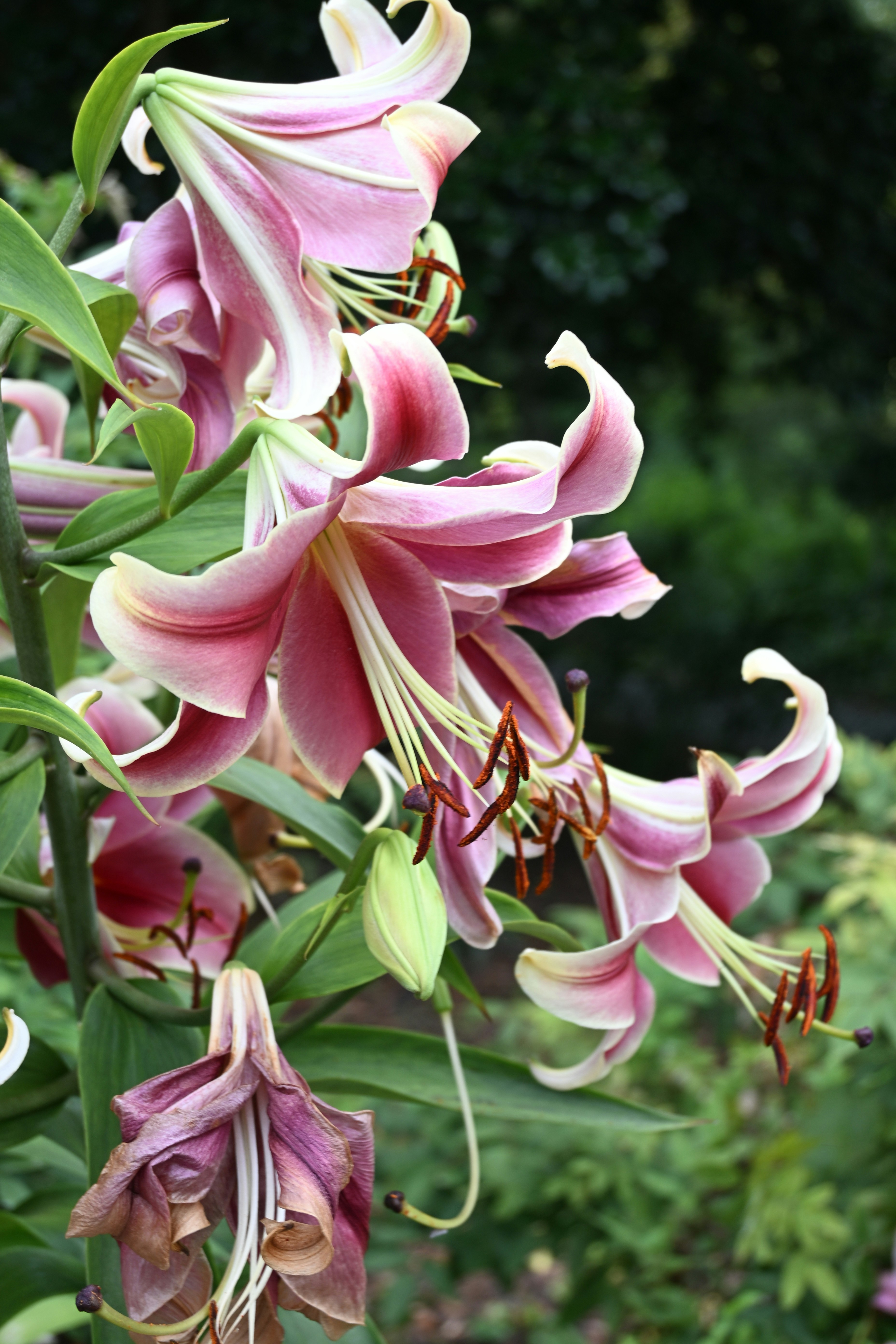 Photo by halilcelikhic