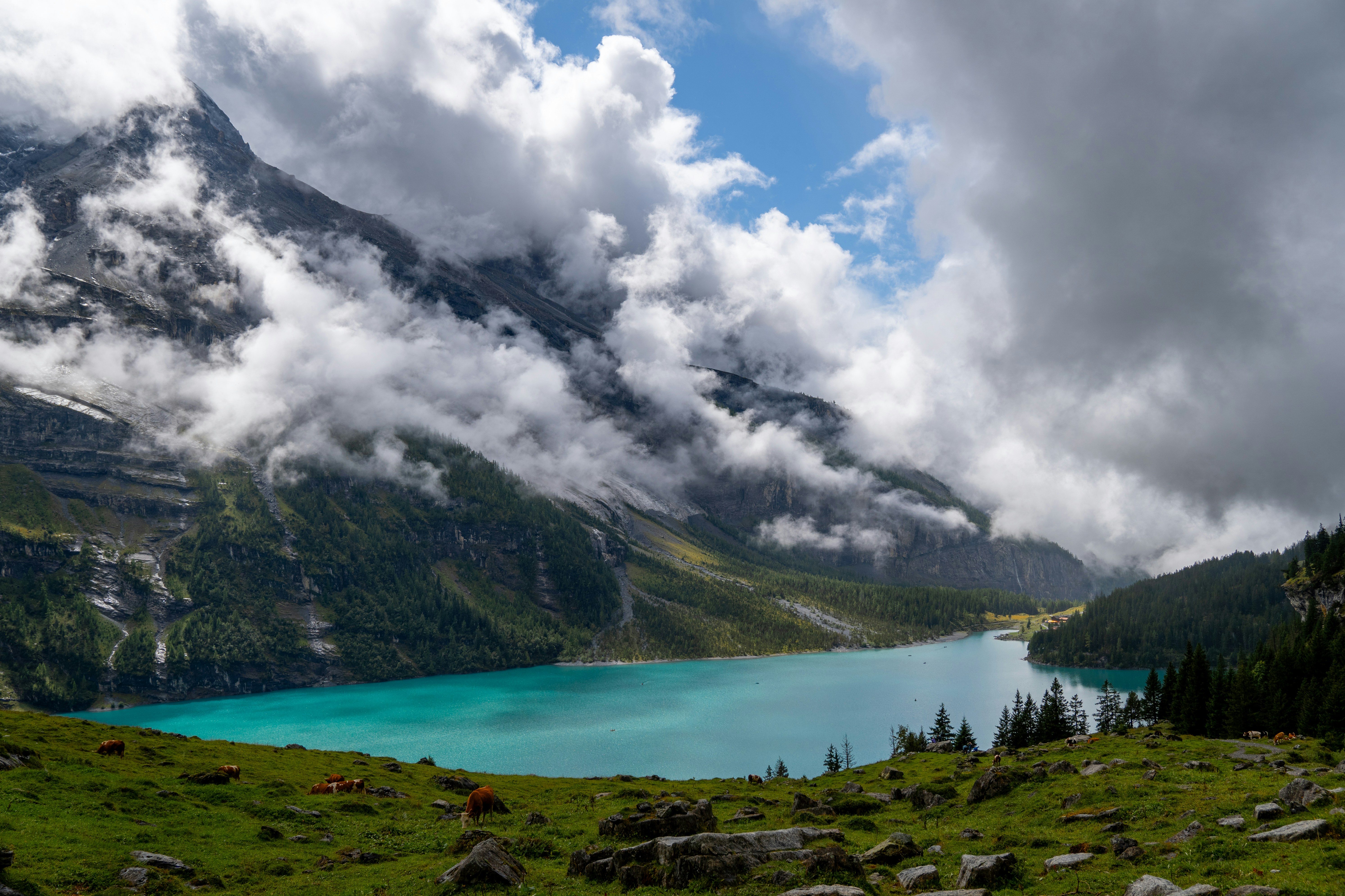 Photo by pancakeeater