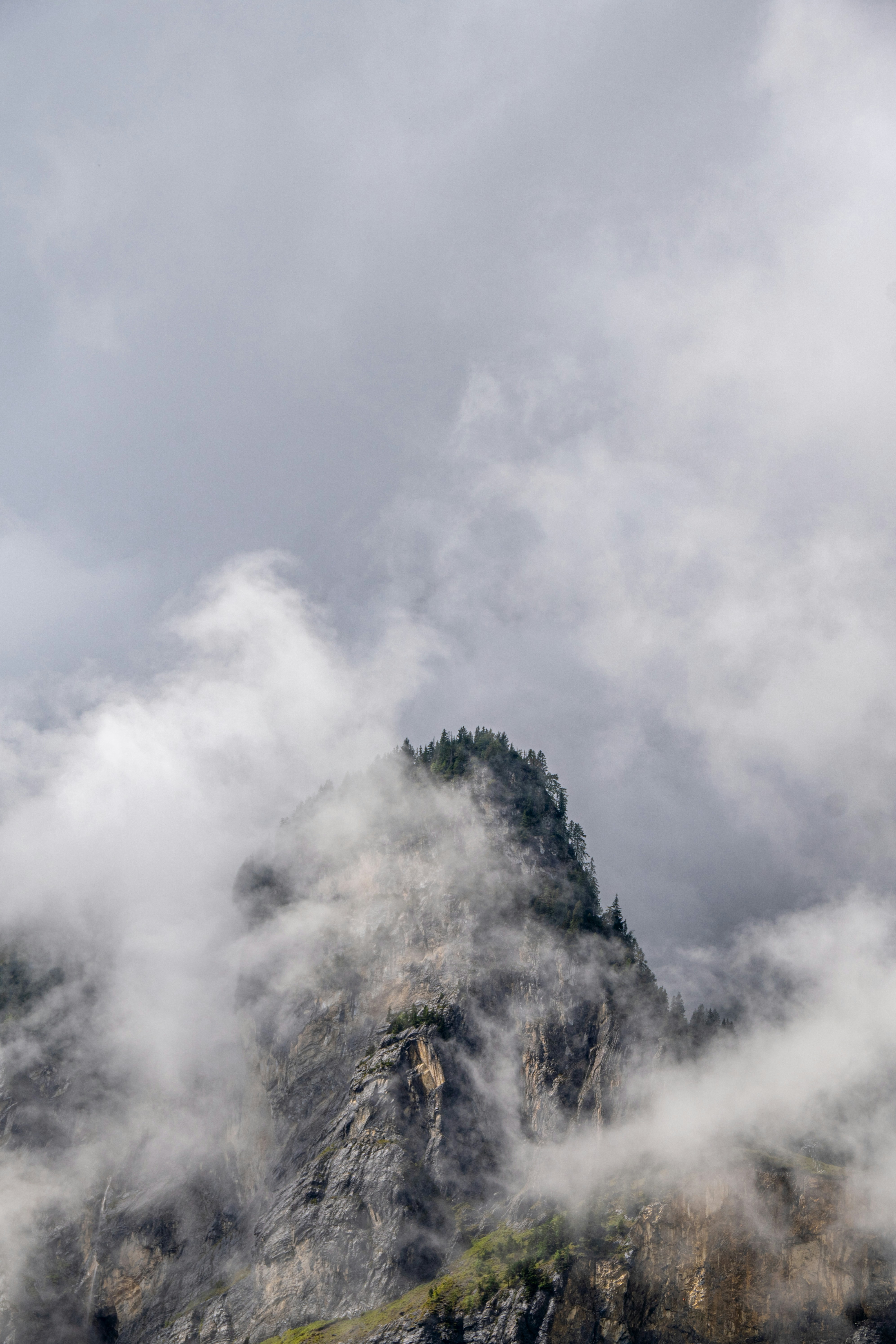 Photo by pancakeeater