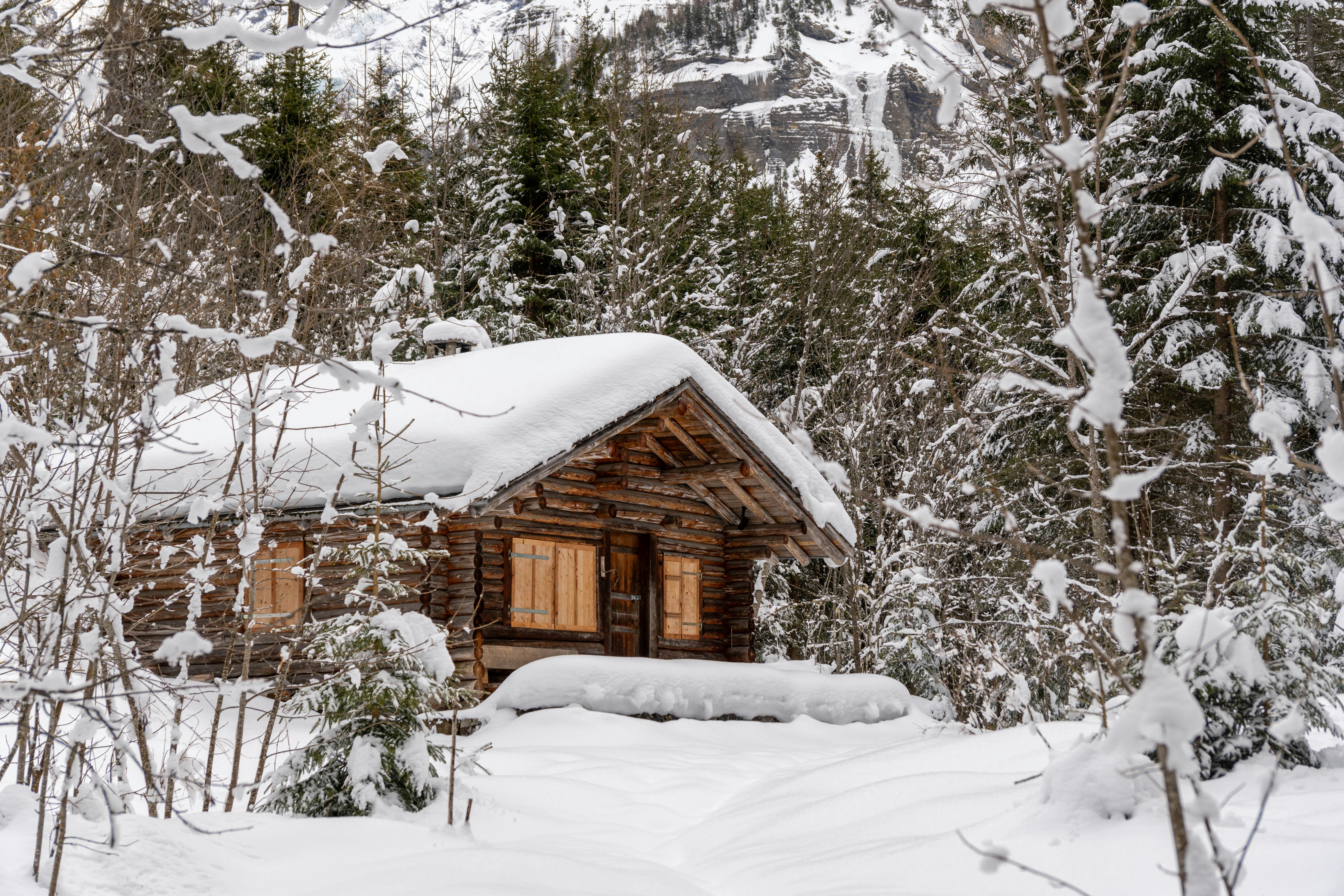 Photo by pancakeeater