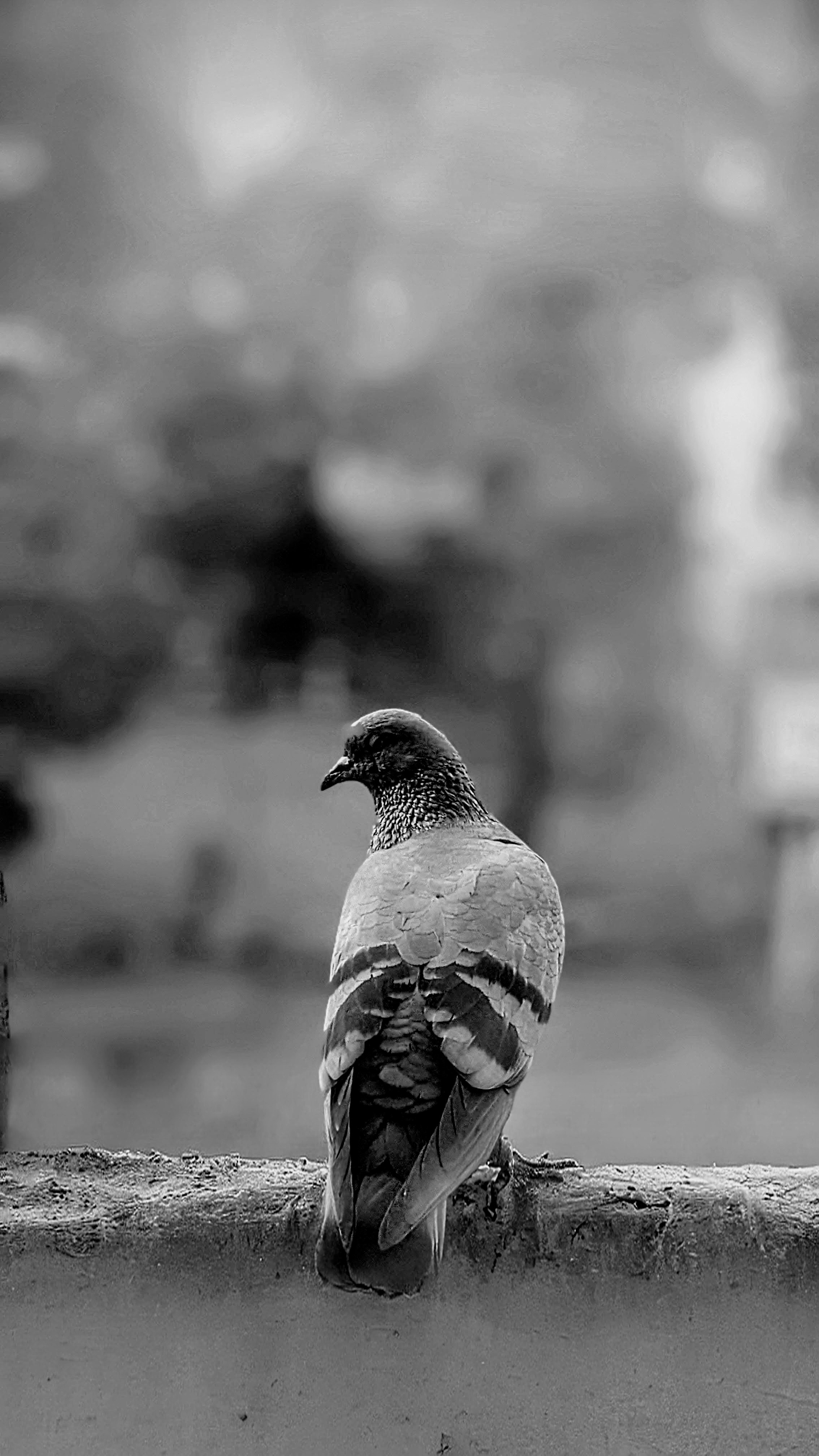 Photo by __karthikyadav_