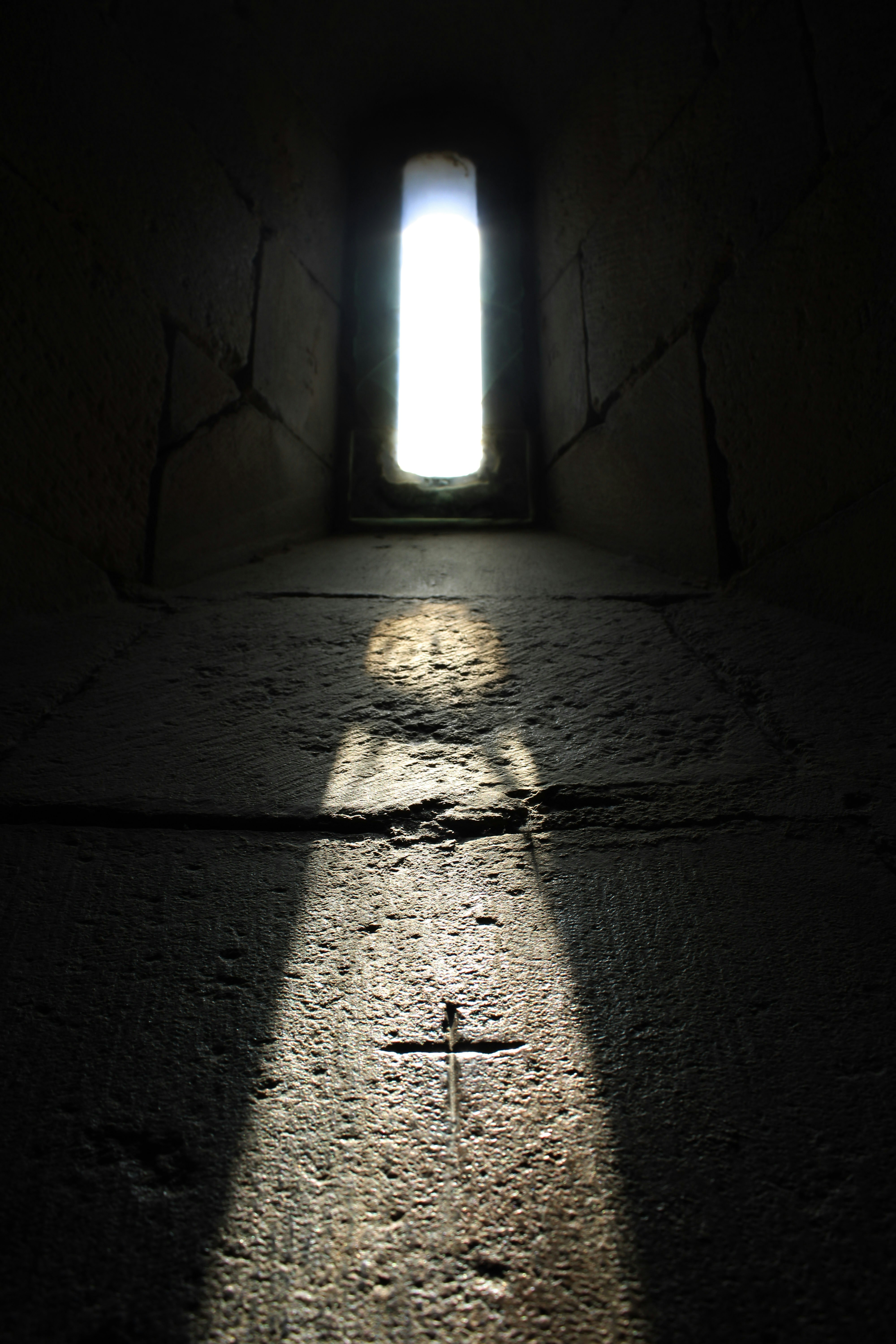 Photo by lost_in_frame