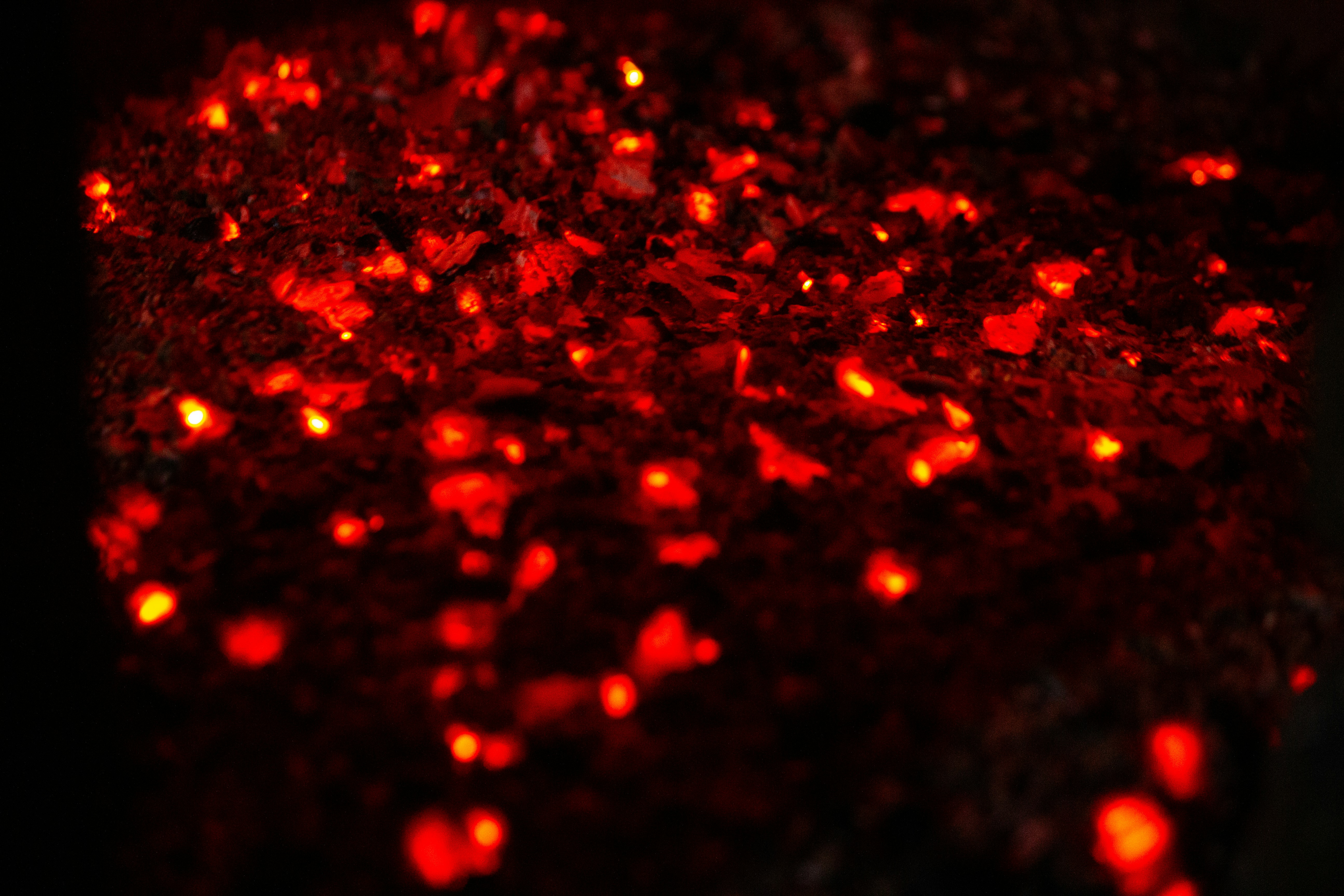 Photo by samuelk1104