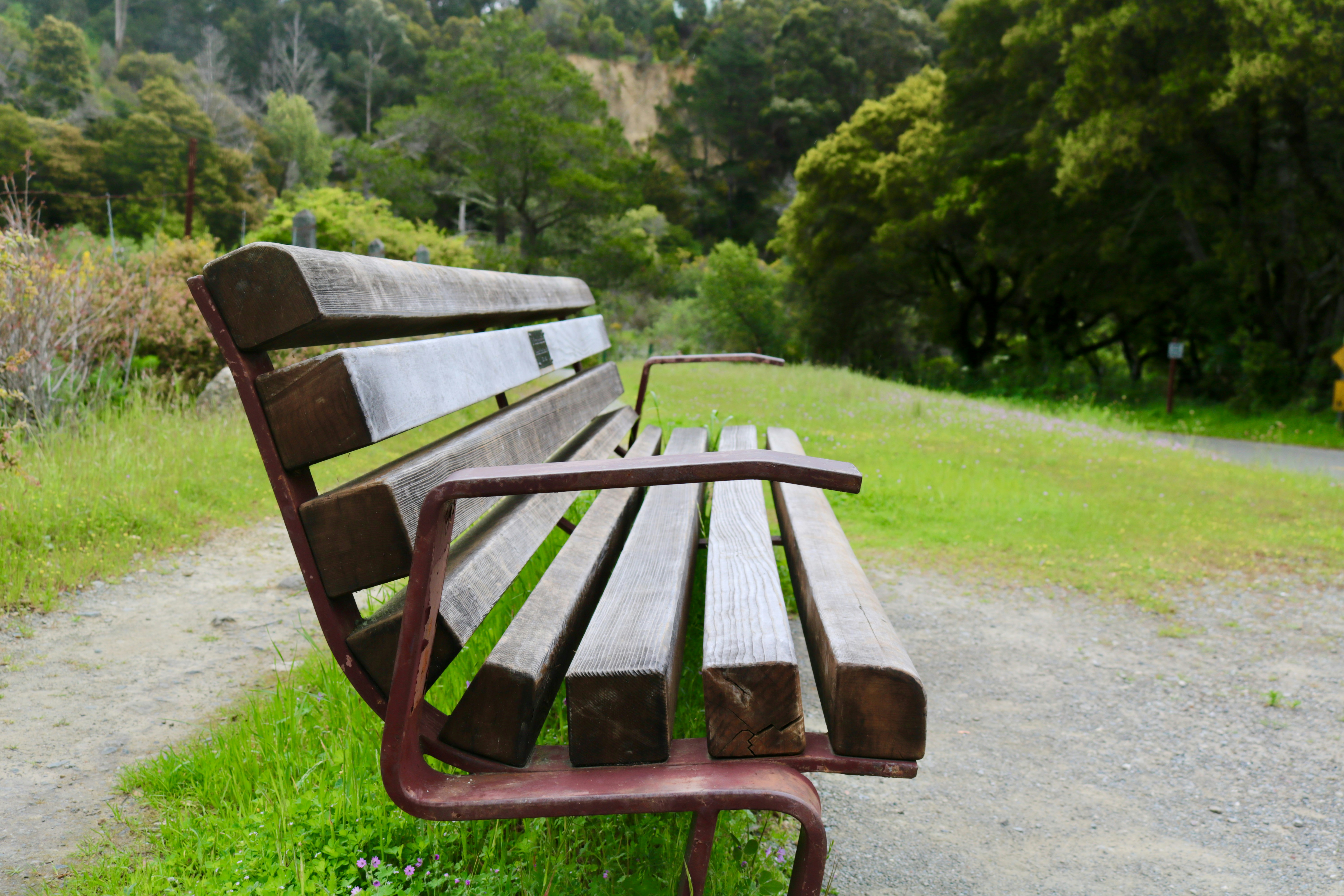 A wooden park bench sits by a grassy path.