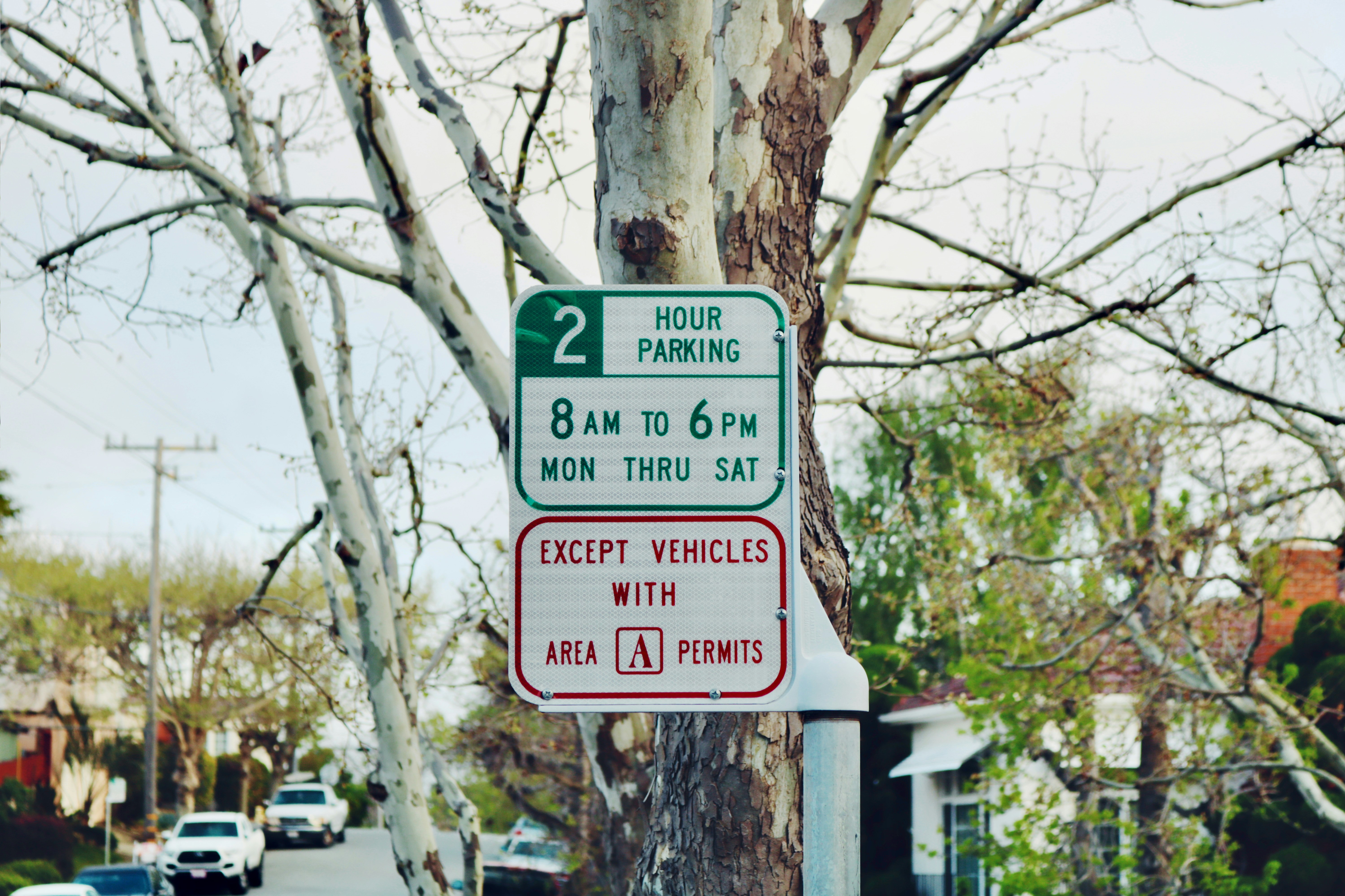 Two hour parking sign on tree with cars below.