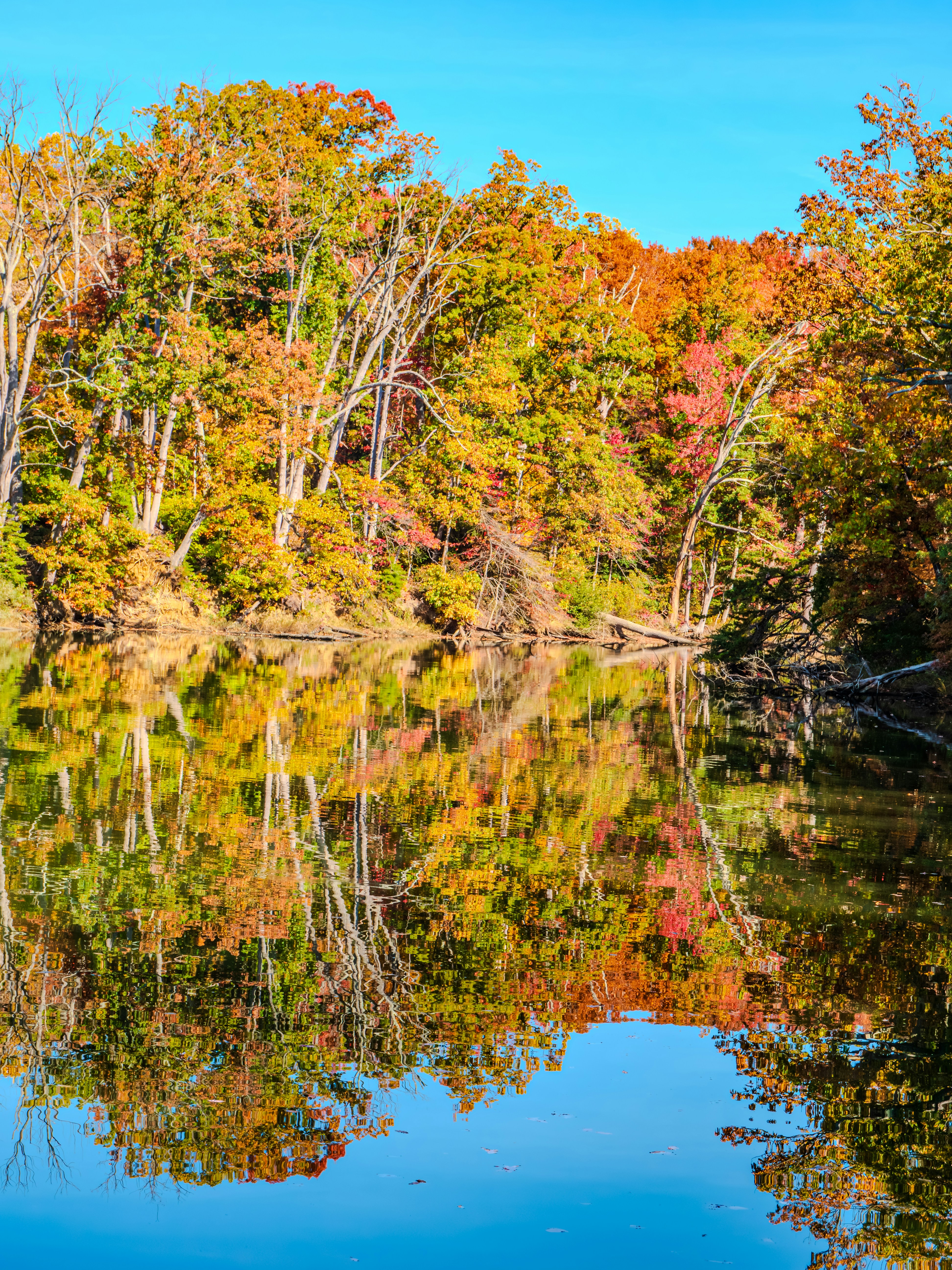 Photo by sschusterphotoart