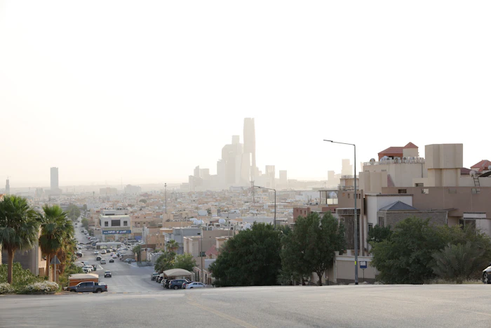 Riyadh city skyline with modern buildings and palm trees