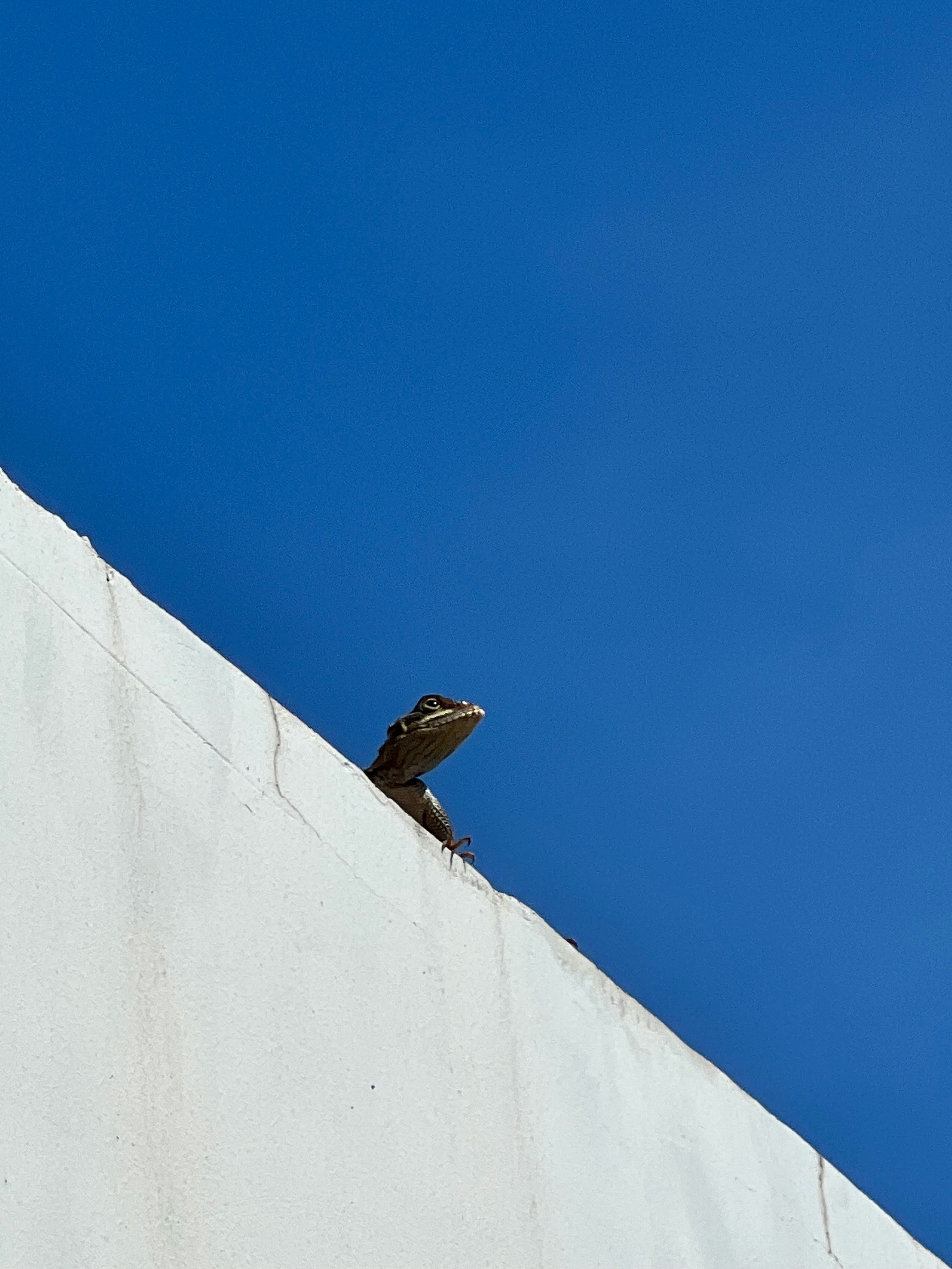 Photo by abdulha_feez