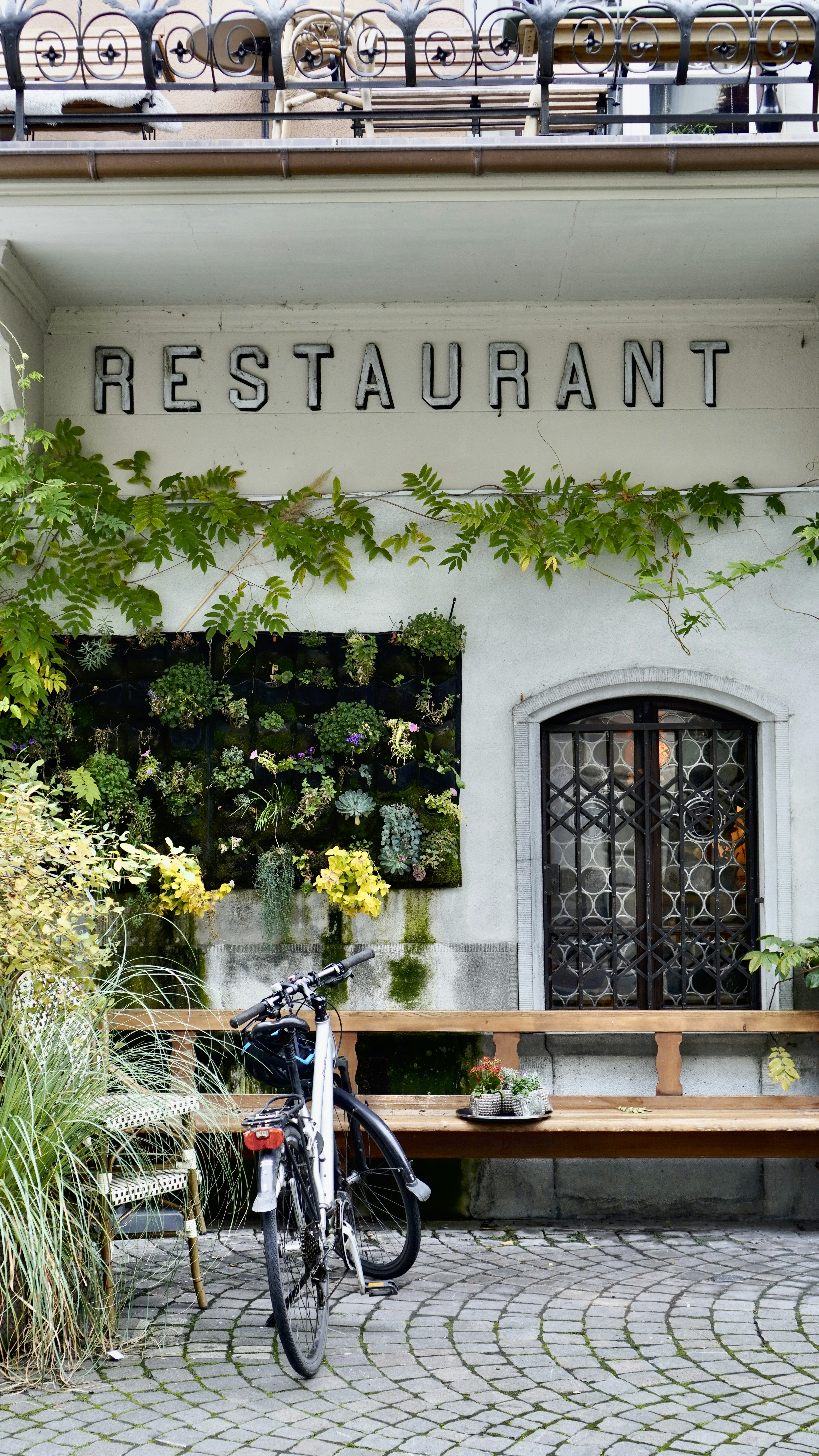 Restaurant entrance with a bicycle and plants