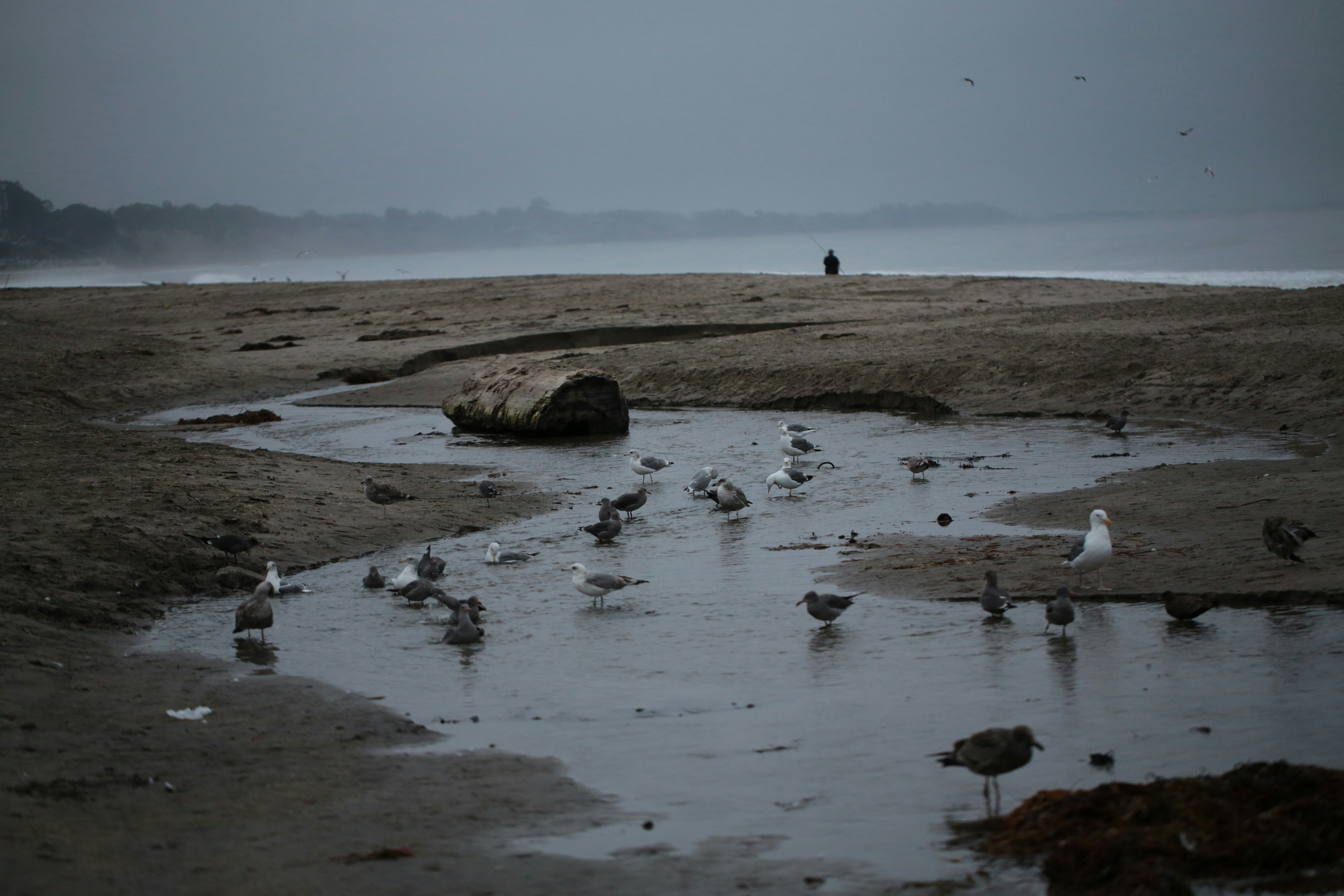 Photo by sthomanns
