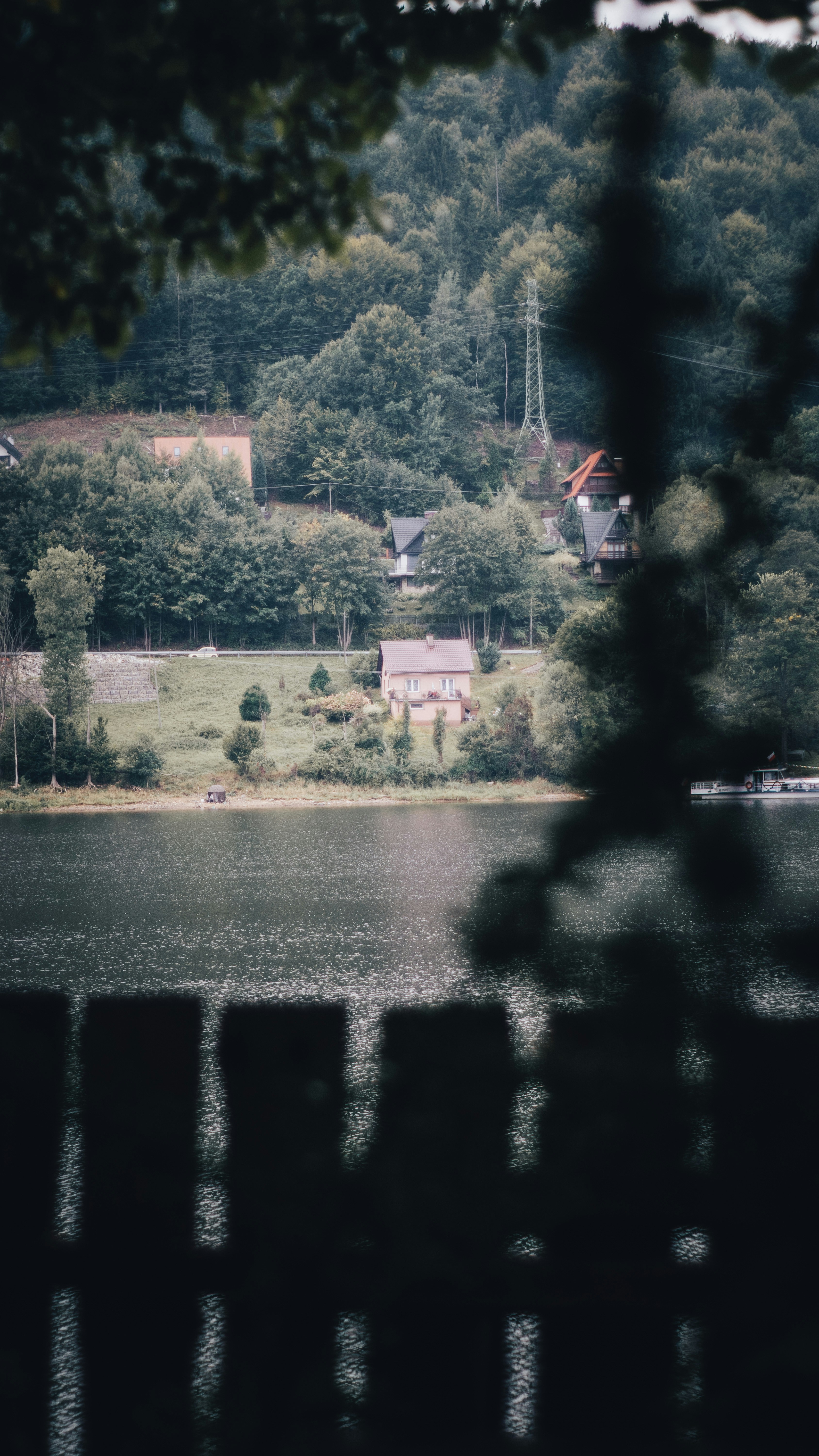 Photo by sprucejpg