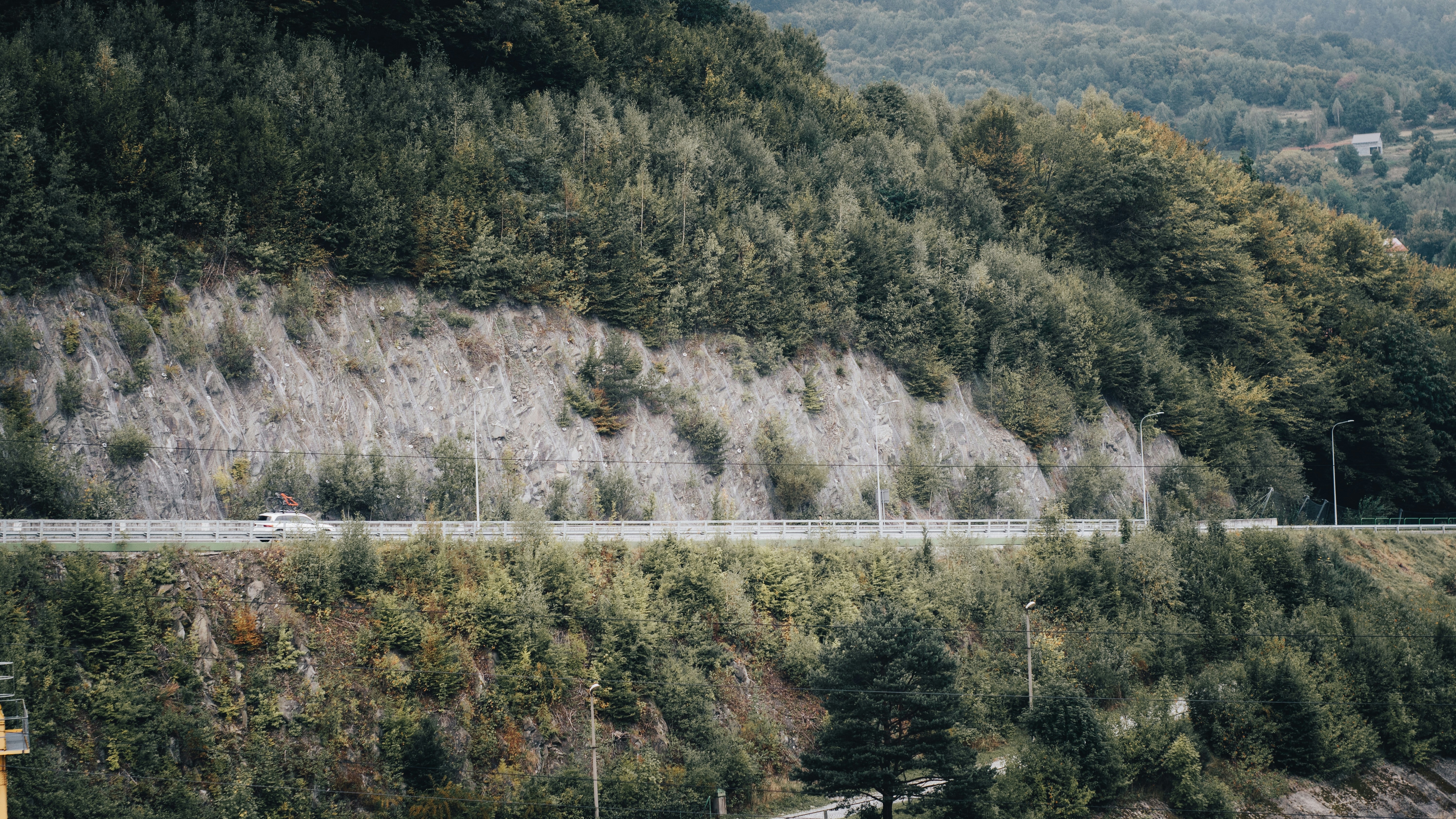Photo by sprucejpg