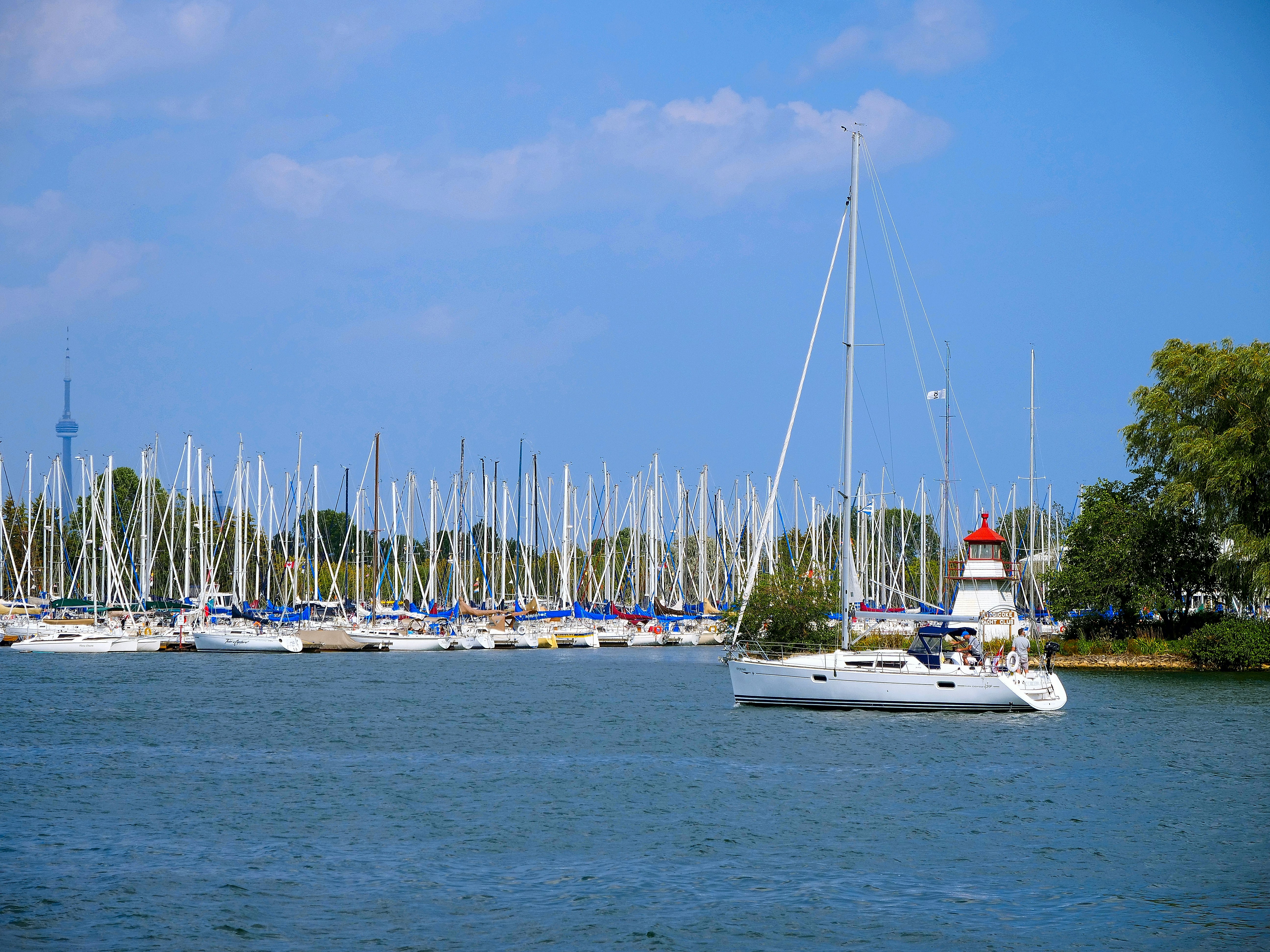 Photo by milancobanov