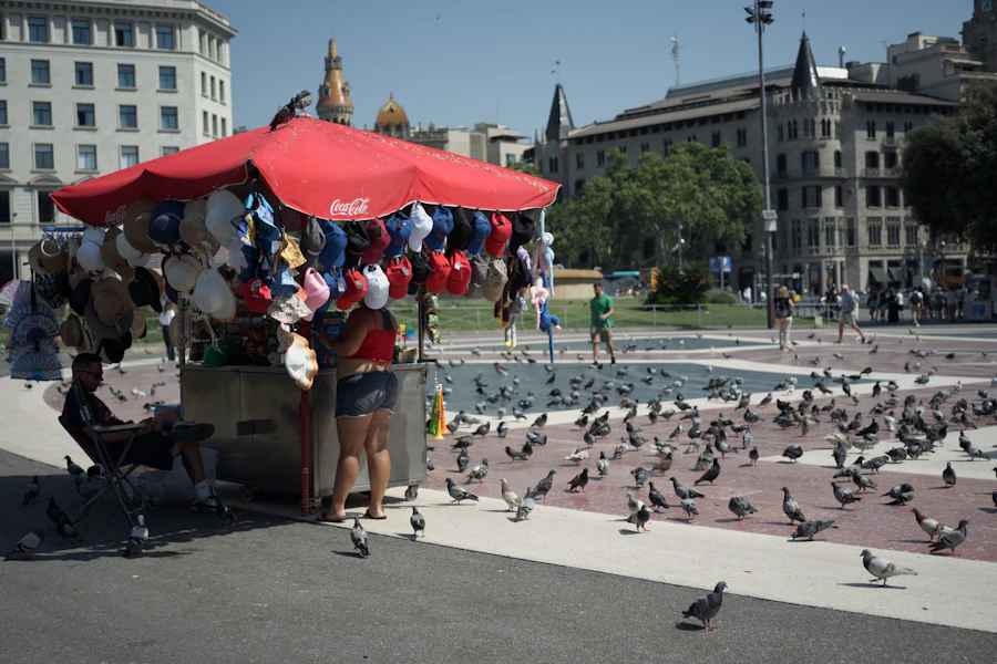 Flock of pigeons gathered in a public plaza