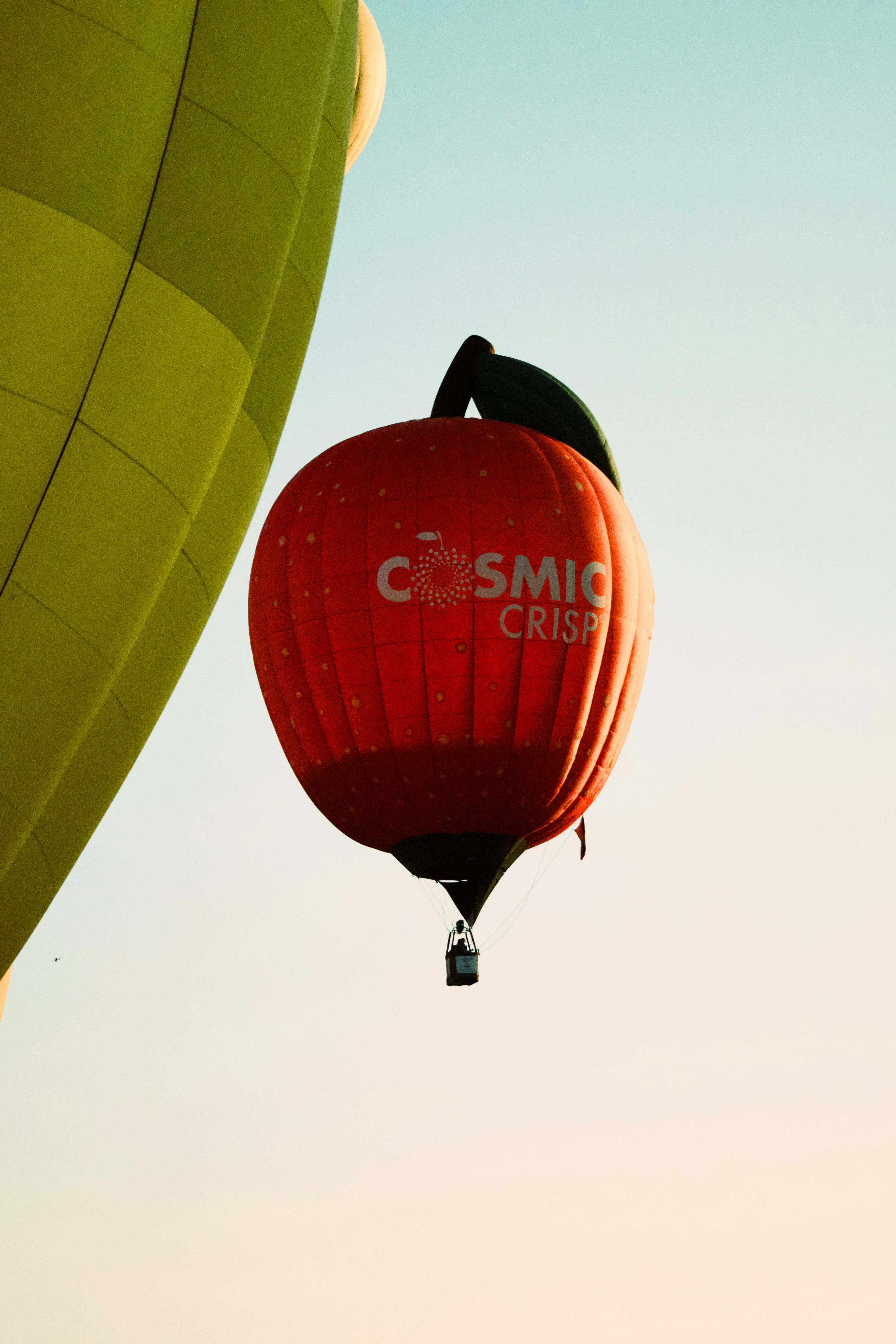 Dos globos aerostáticos volando en el cielo.