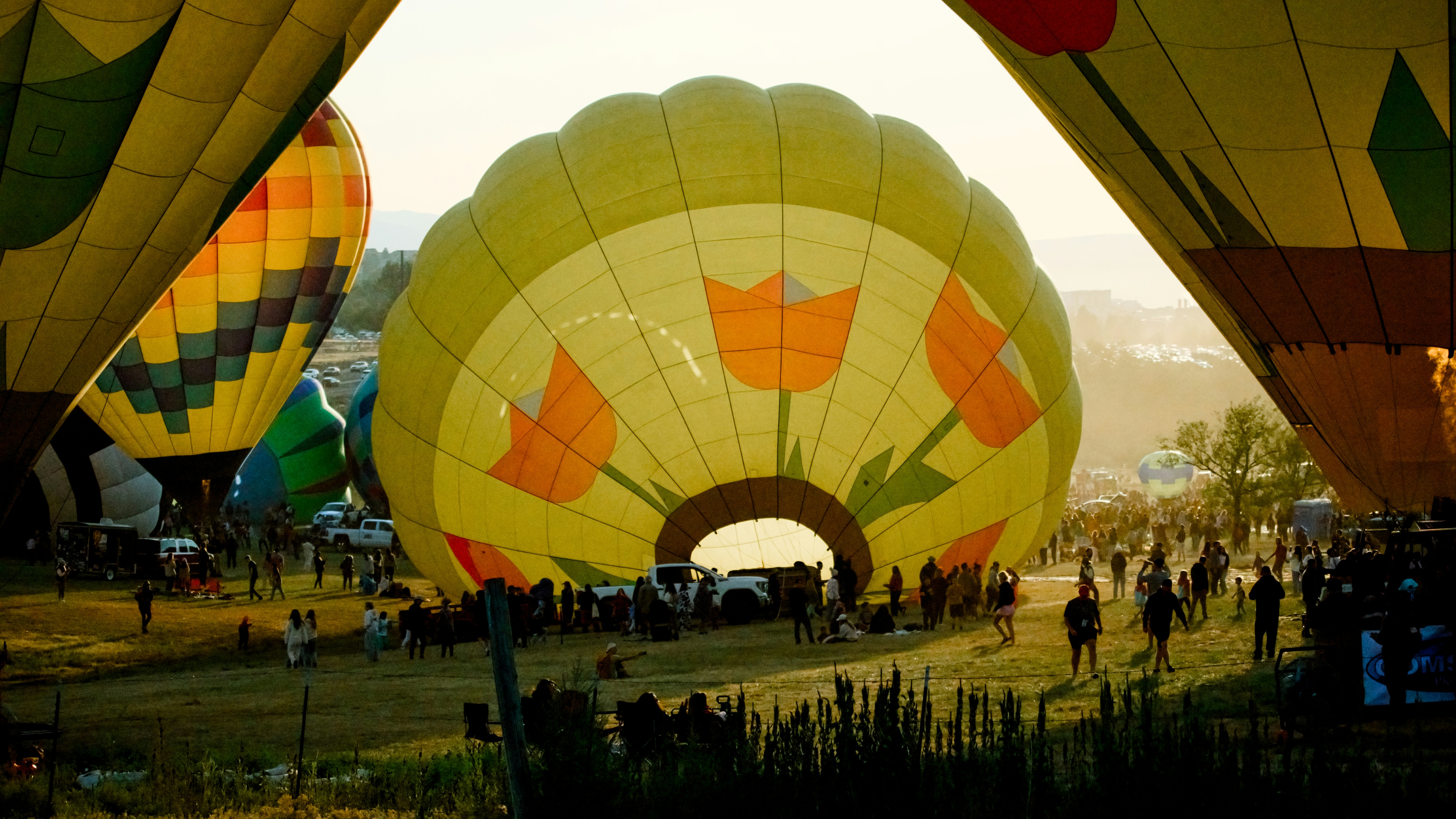 Globo aerostático amarillo con diseño de tulipanes naranjas.