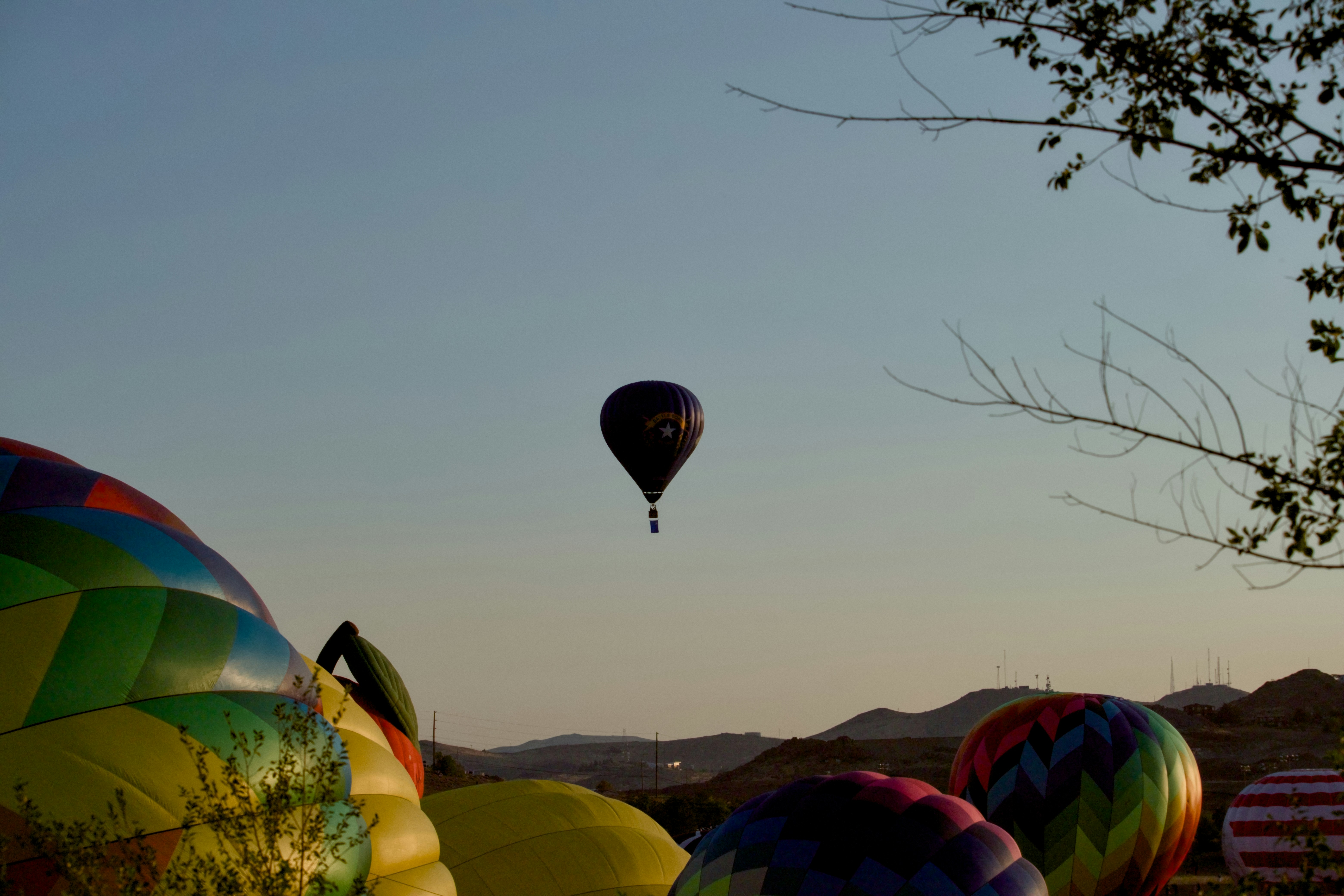 Los globos aerostáticos ascienden hacia el cielo despejado al amanecer.
