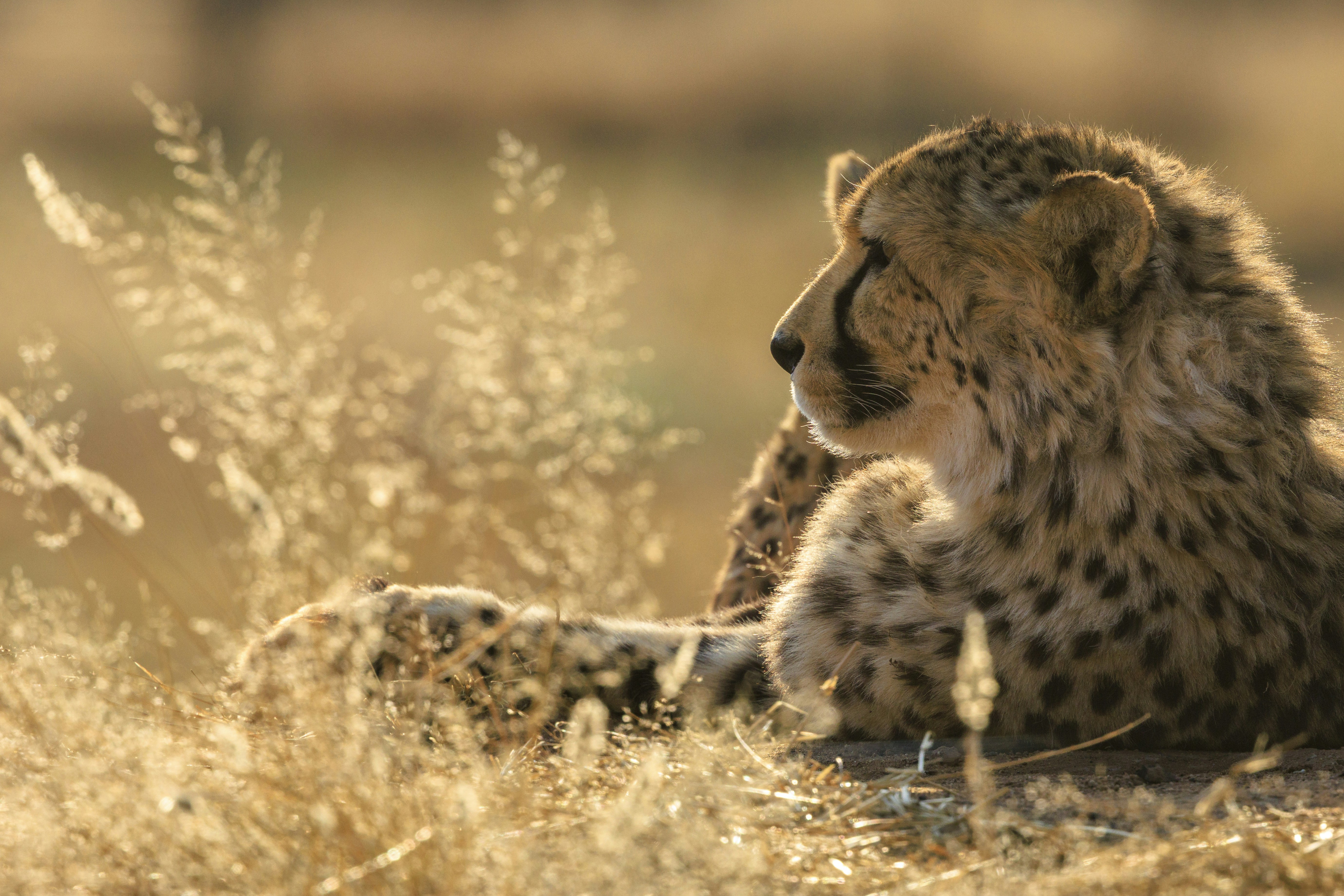 Children'S Vision Health And Wellness: The Value Of Very Early Eye Doctor Checks Out