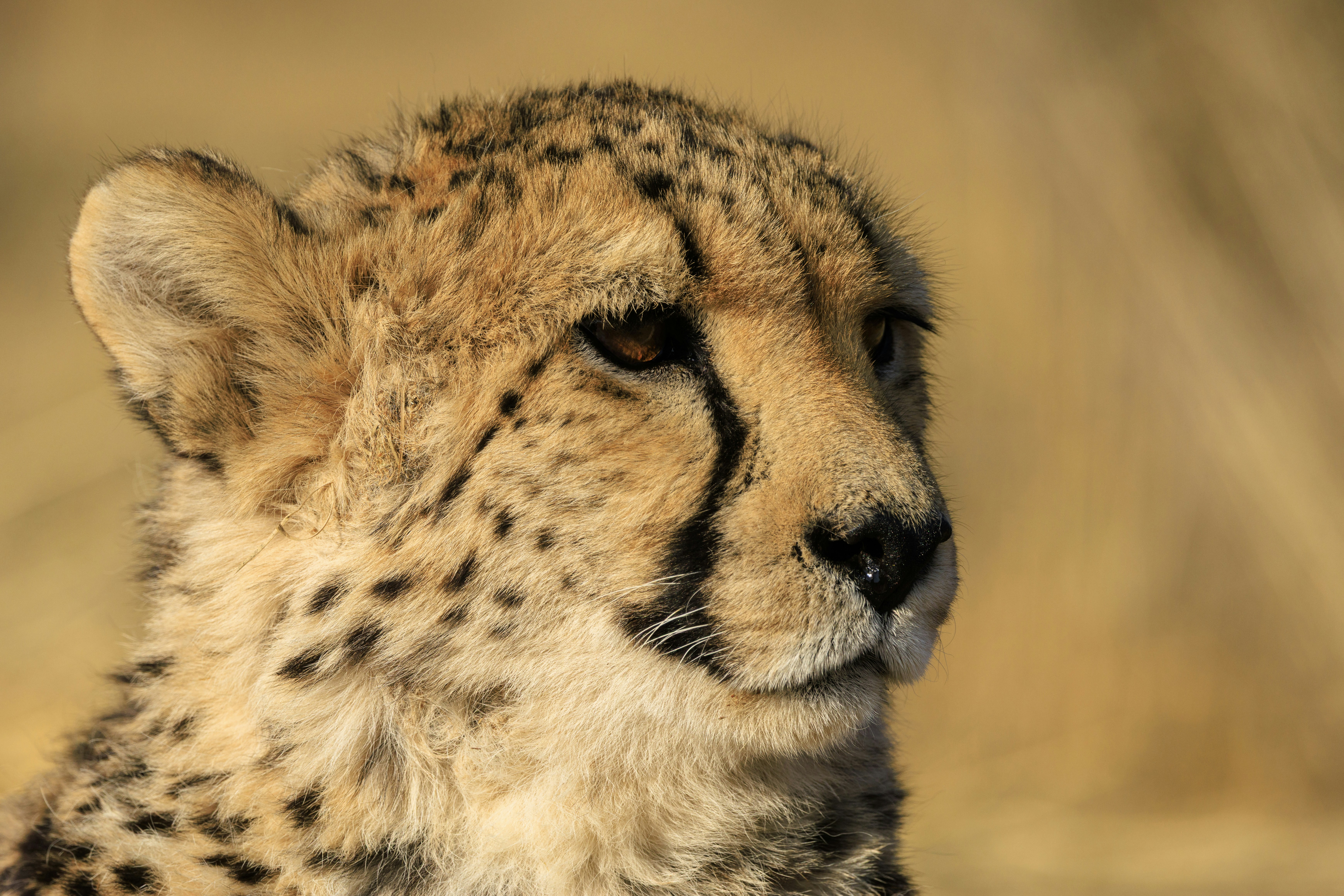 Interested In The Notion Of Decluttering Without Headache? Learn About The Many Advantages Of Employing An Expert Junk Removal Solution For Your Following Cleanout