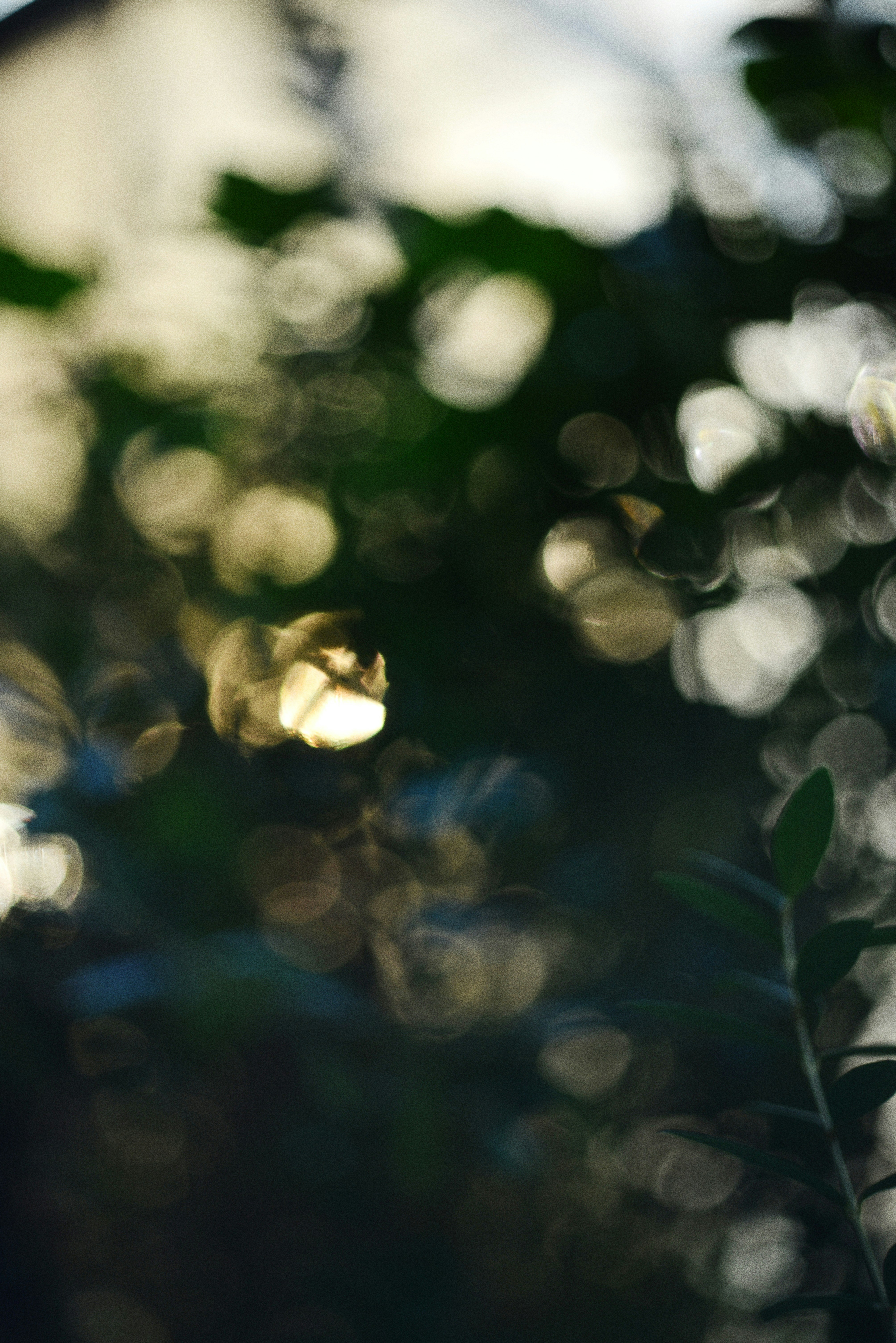 Photo by cherstve_pechivo