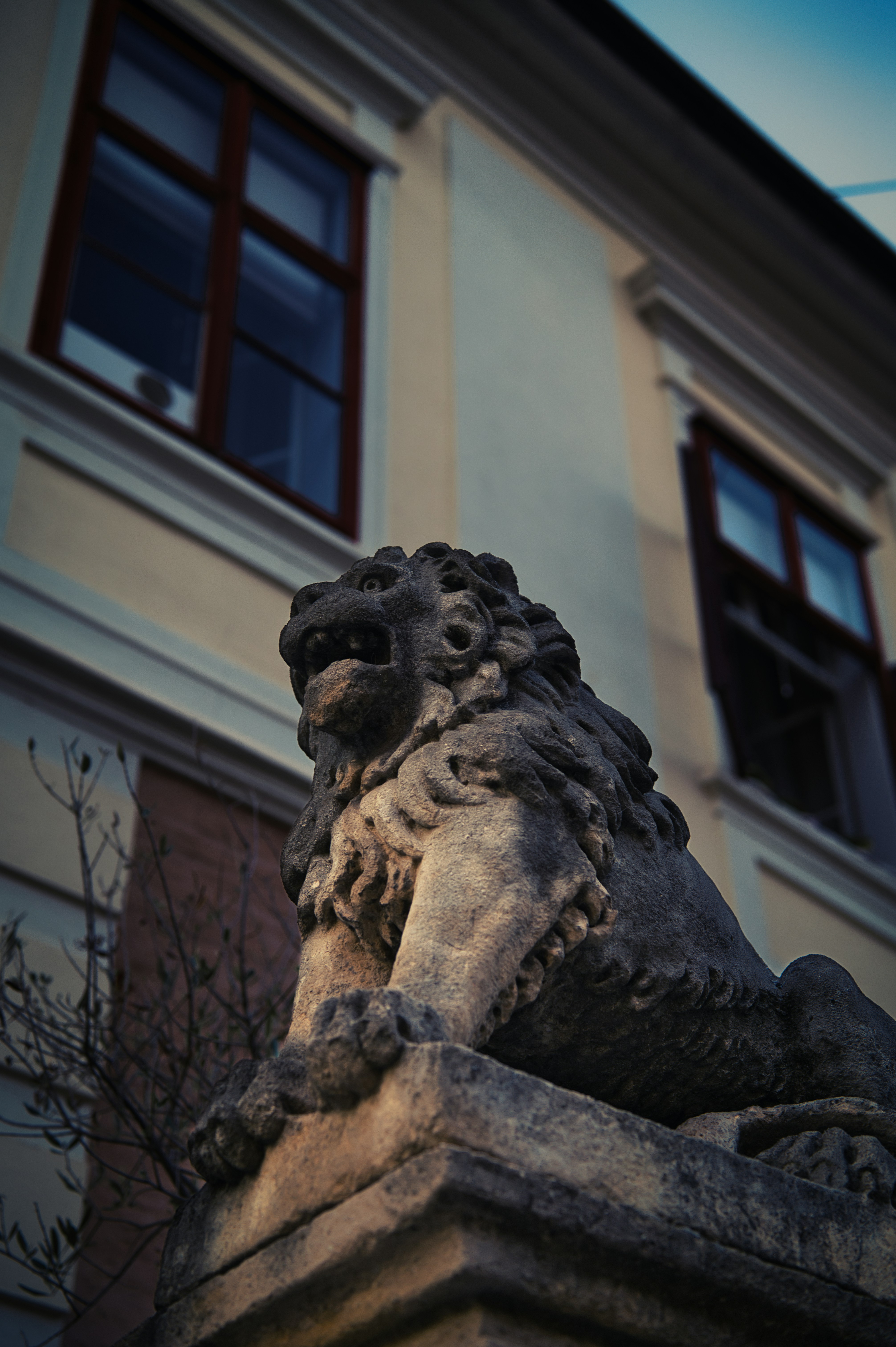 Stone lion sculpture guards old building entrance