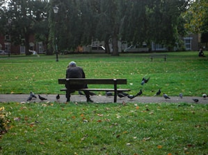 Person sitting on park bench with pigeons around.