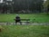 Person sitting on park bench with pigeons around.
