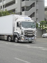 White delivery truck with chrome accents on road.