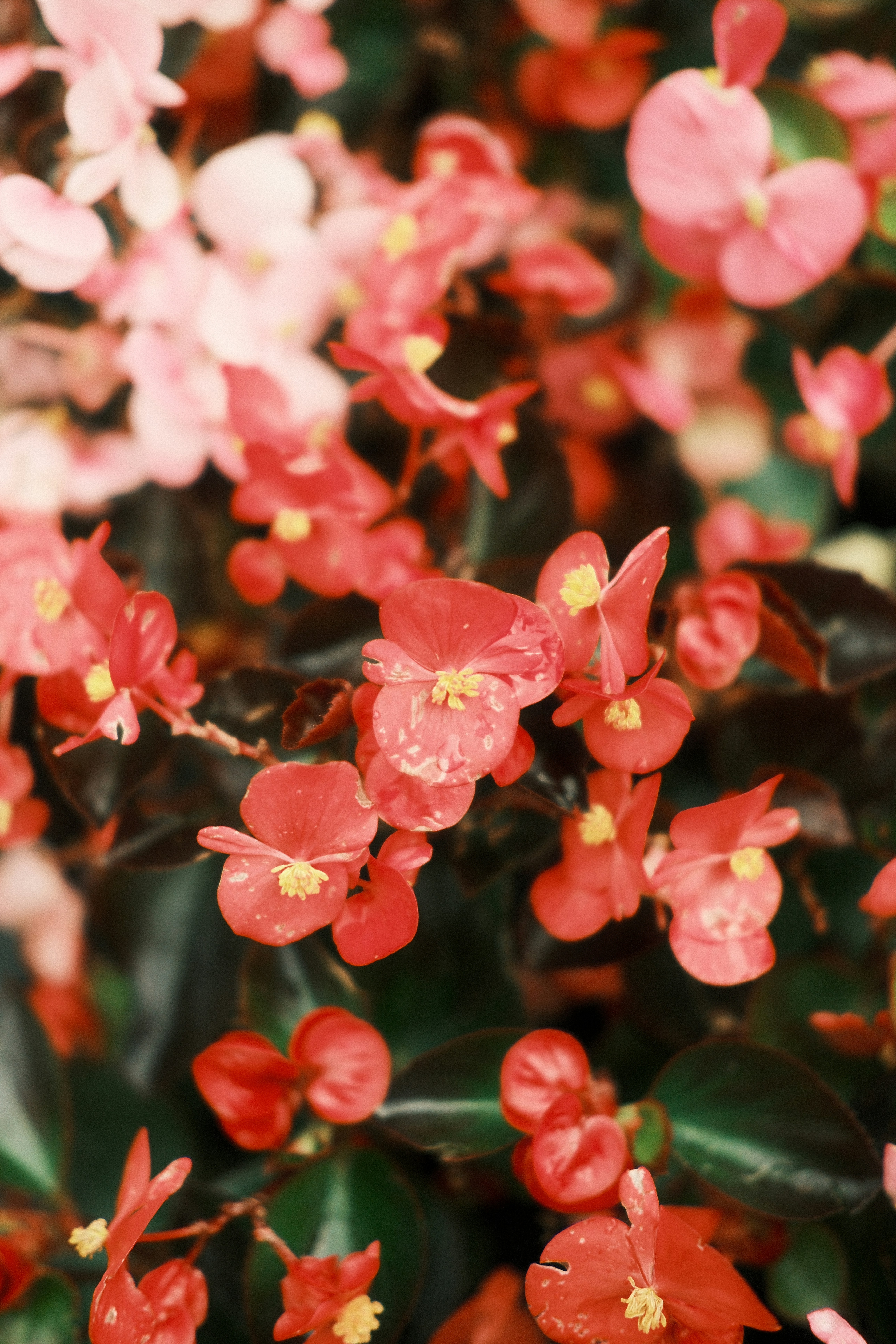 Photo by unaperture