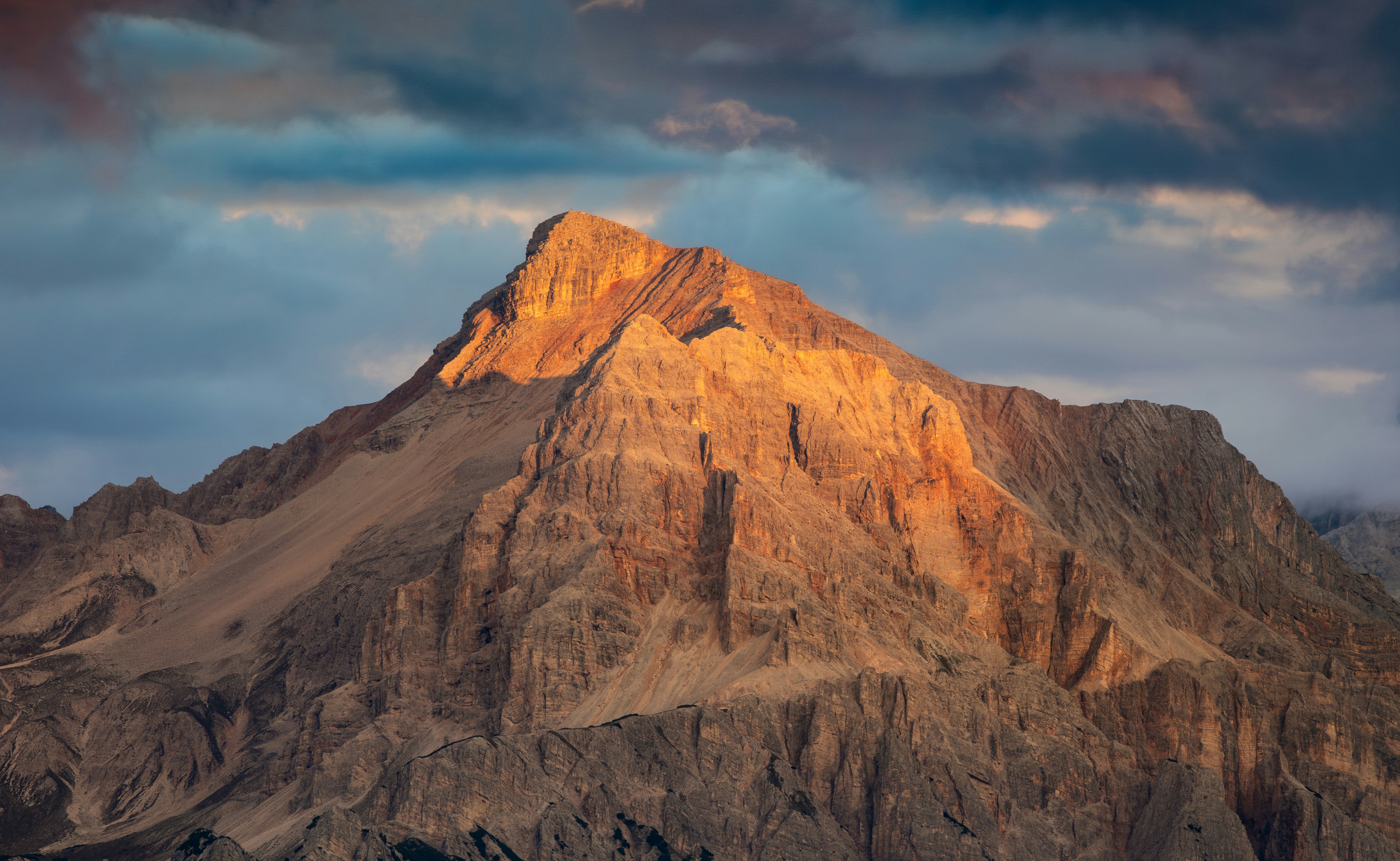 Editor-Approved Exotic Creations: Ultimate Guide to Luxury Alligator, Crocodile & Lizard Bags