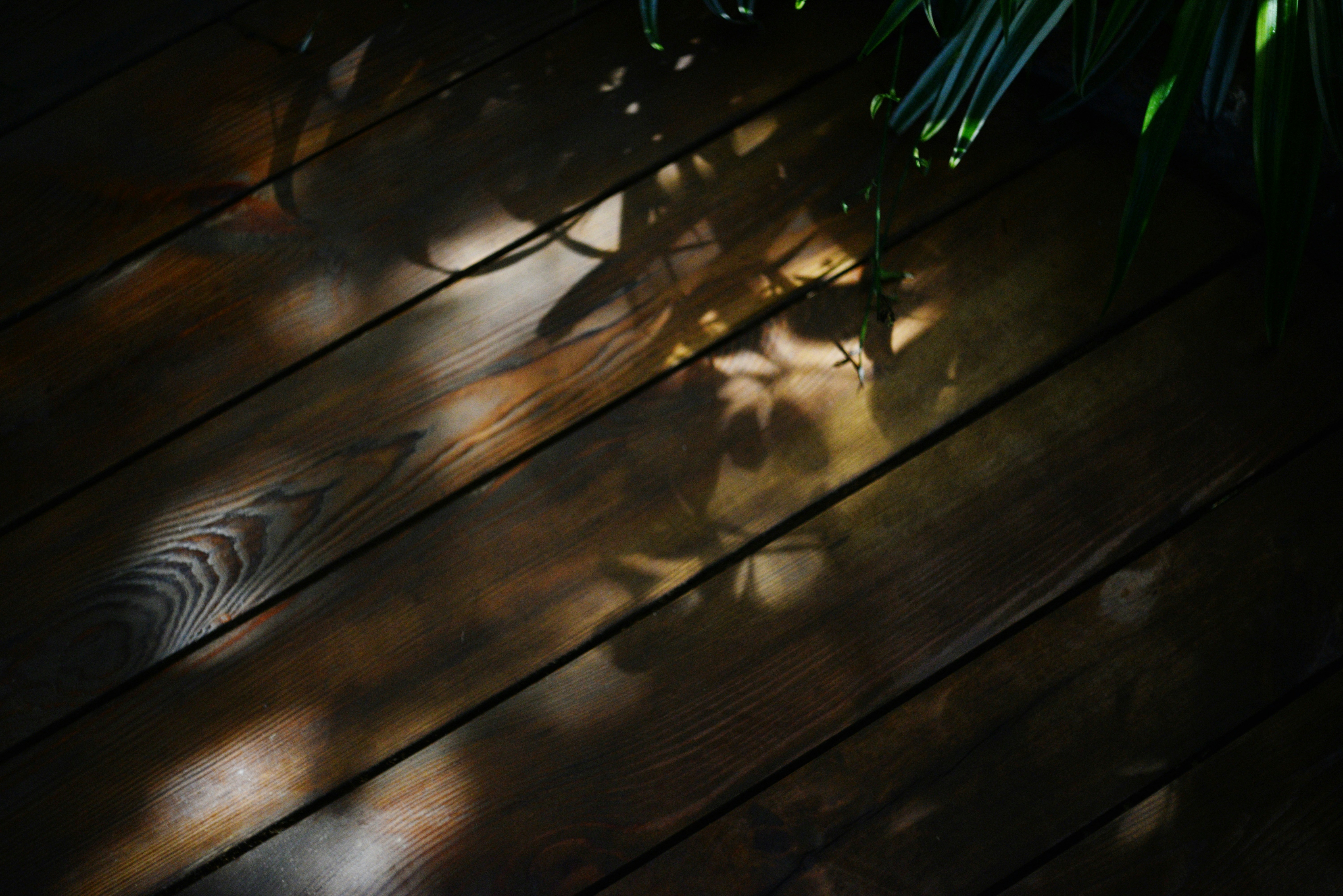 Photo by cherstve_pechivo