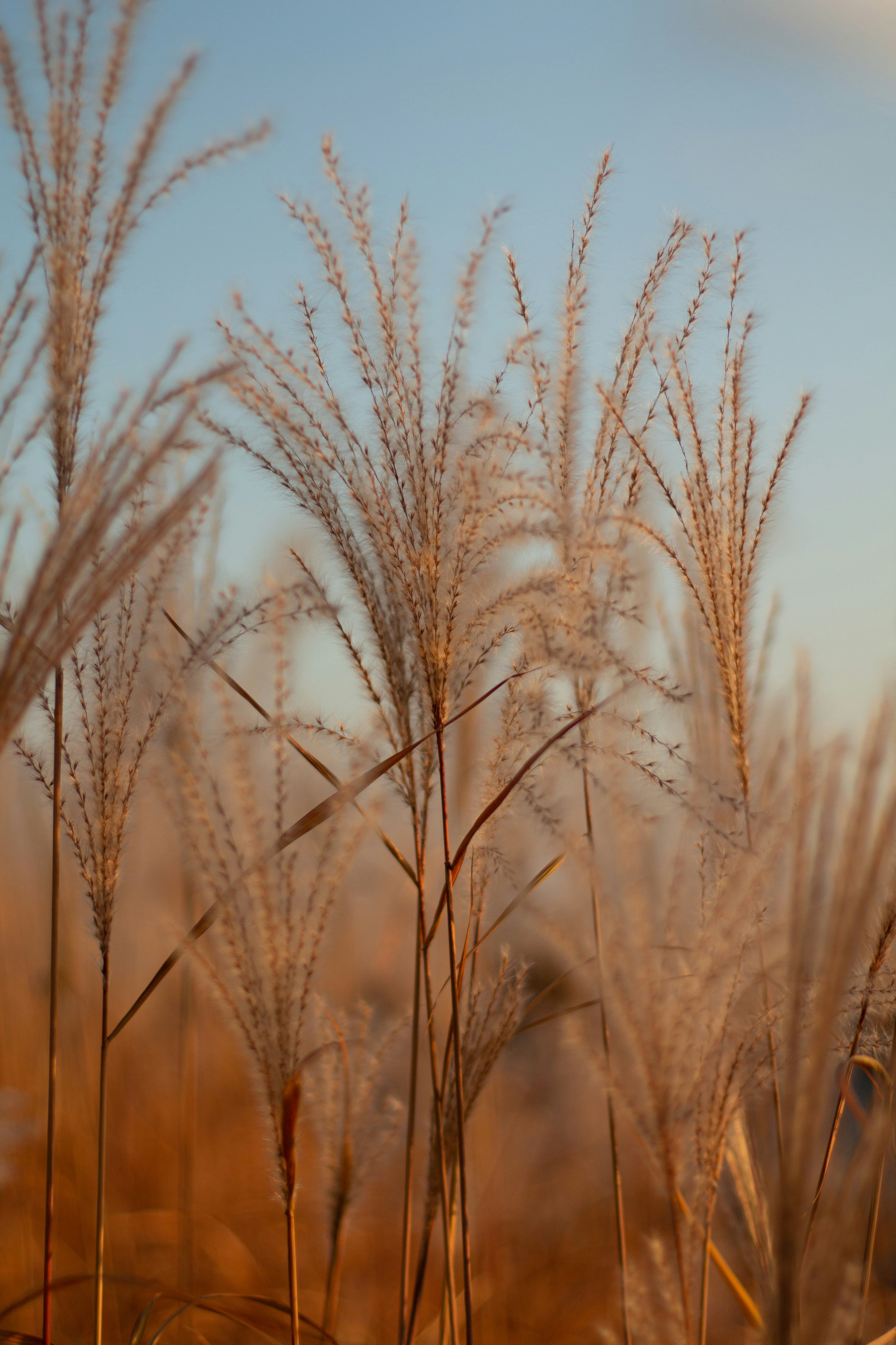 Photo by alinabondar_ph