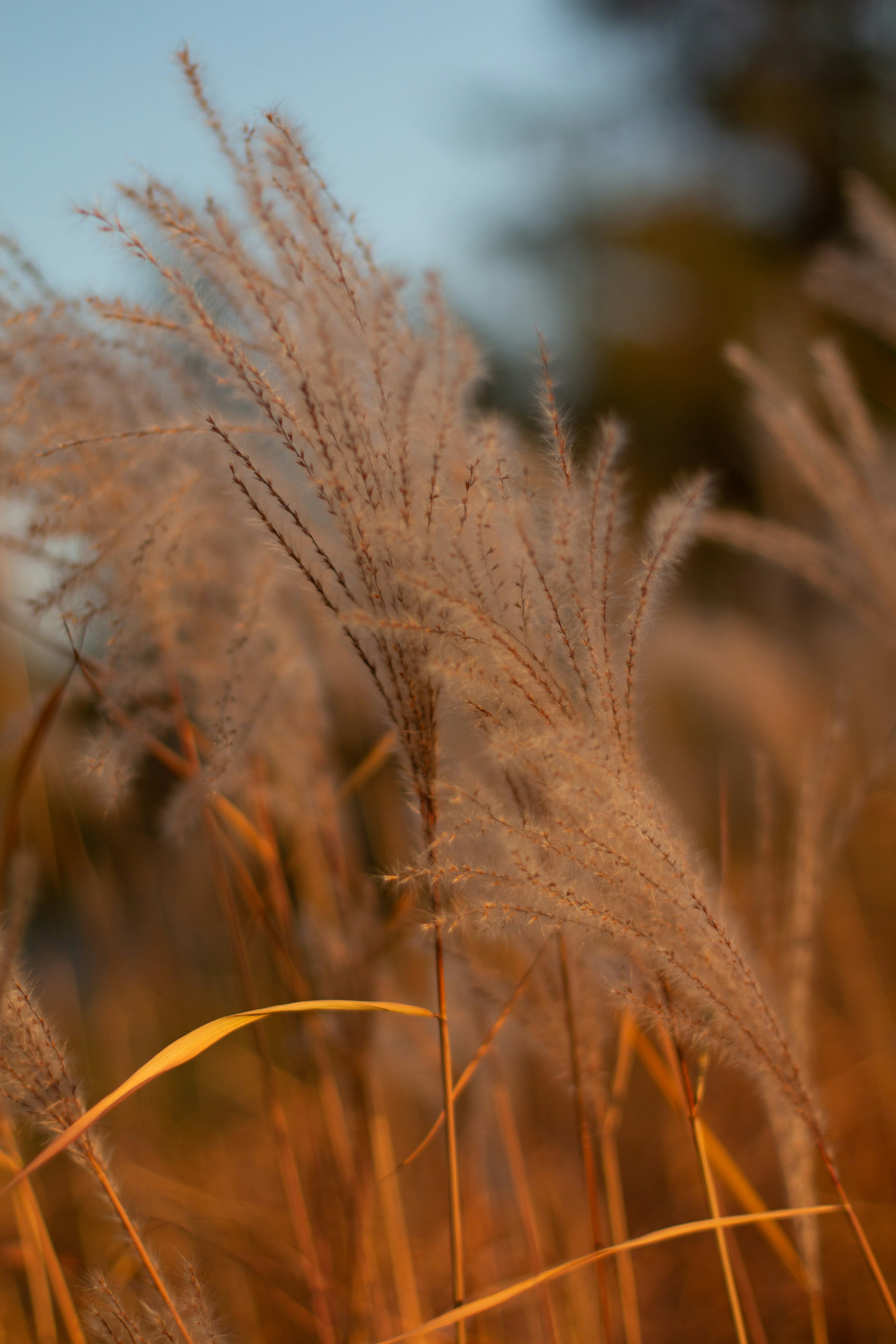 Photo by alinabondar_ph