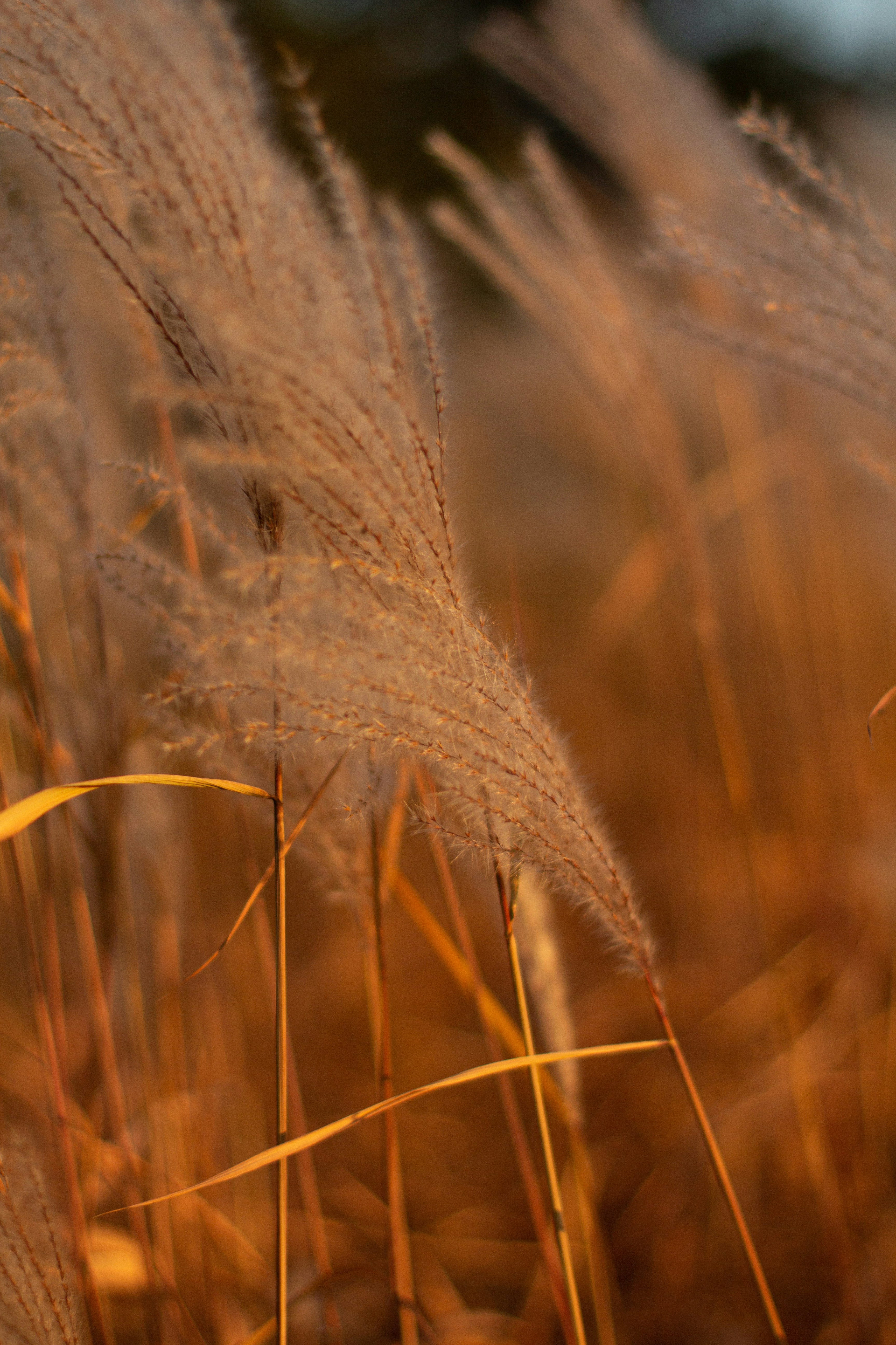 Photo by alinabondar_ph