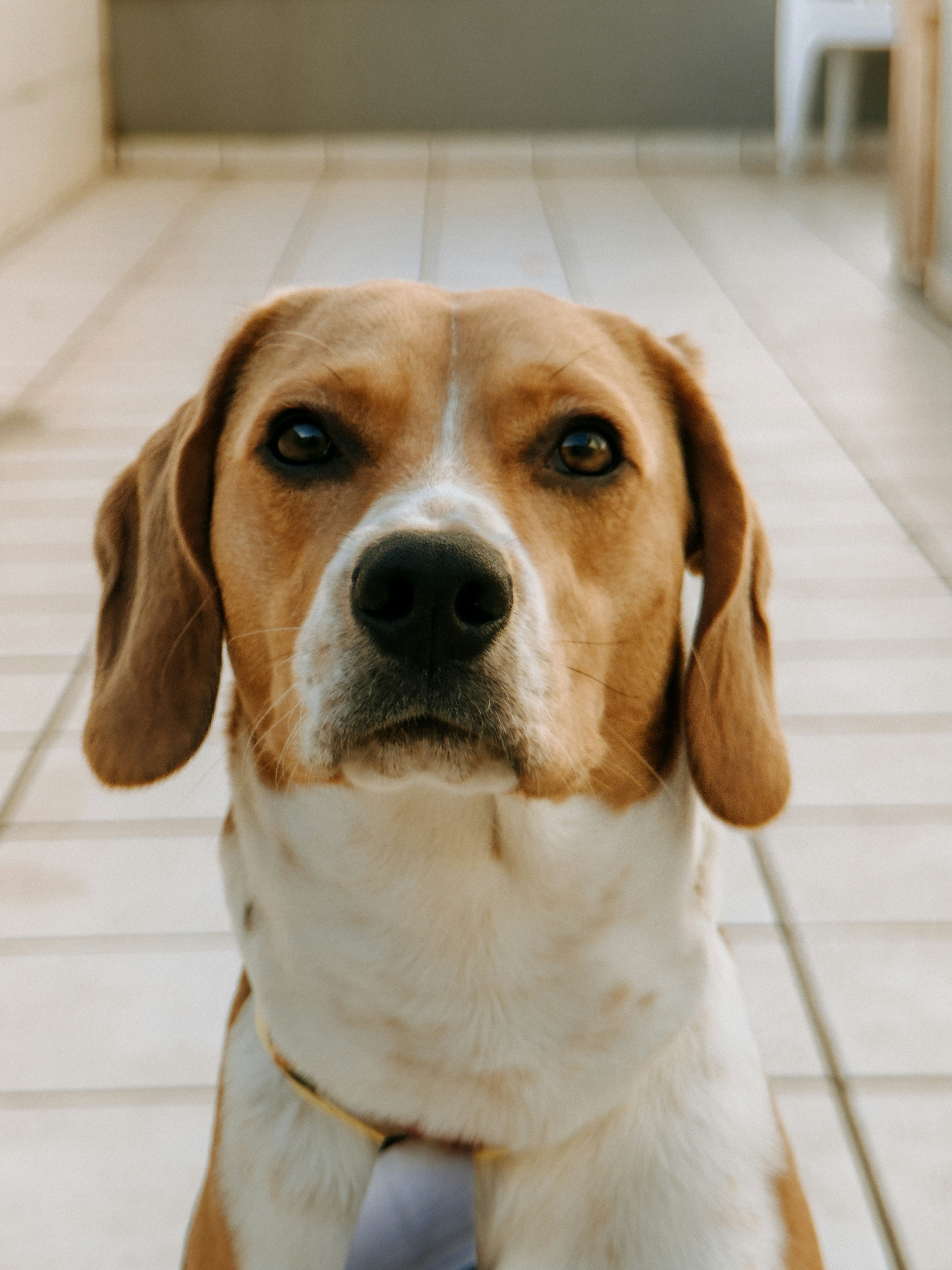 Photo by janilson_oficial