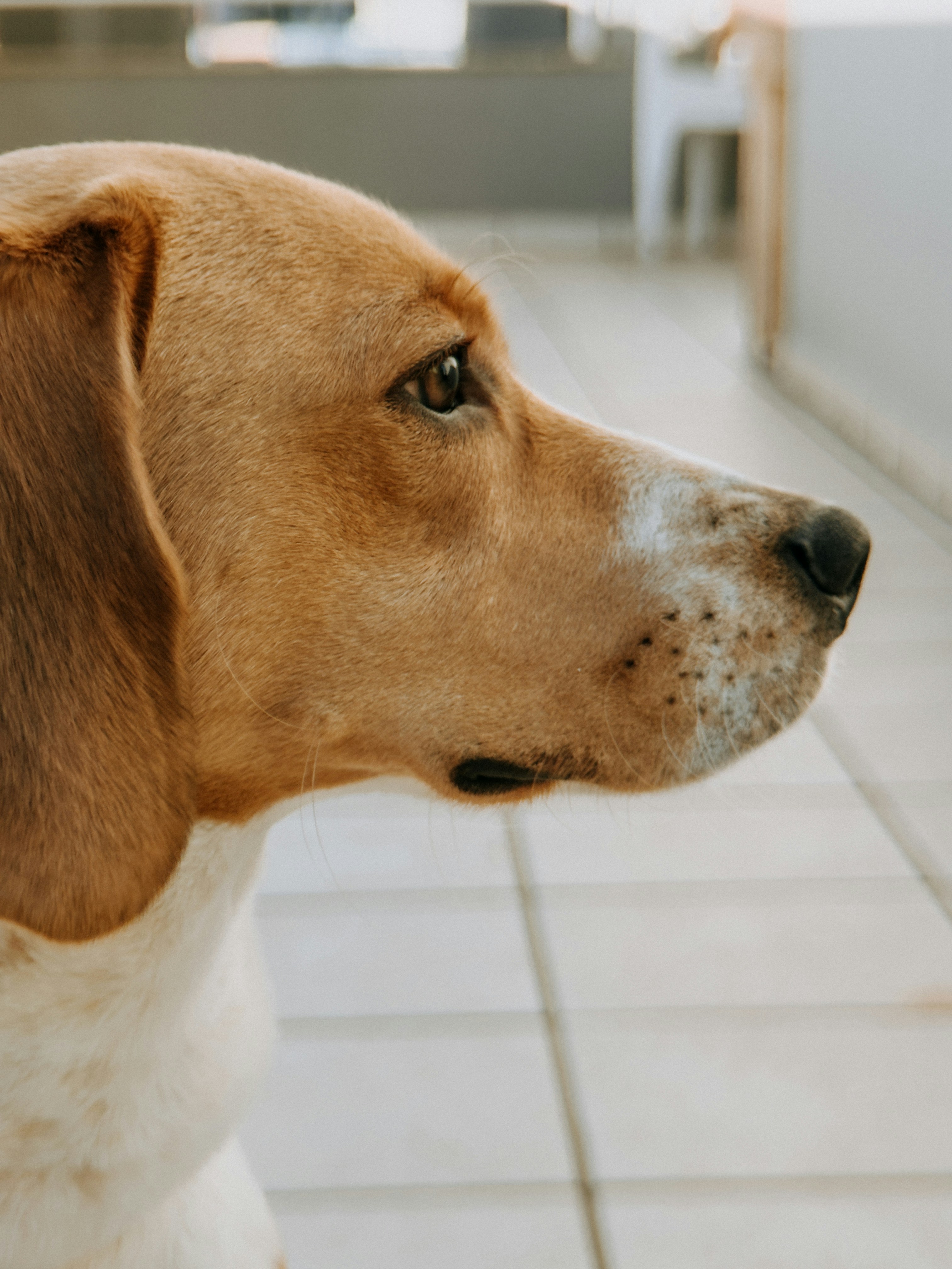 Photo by janilson_oficial