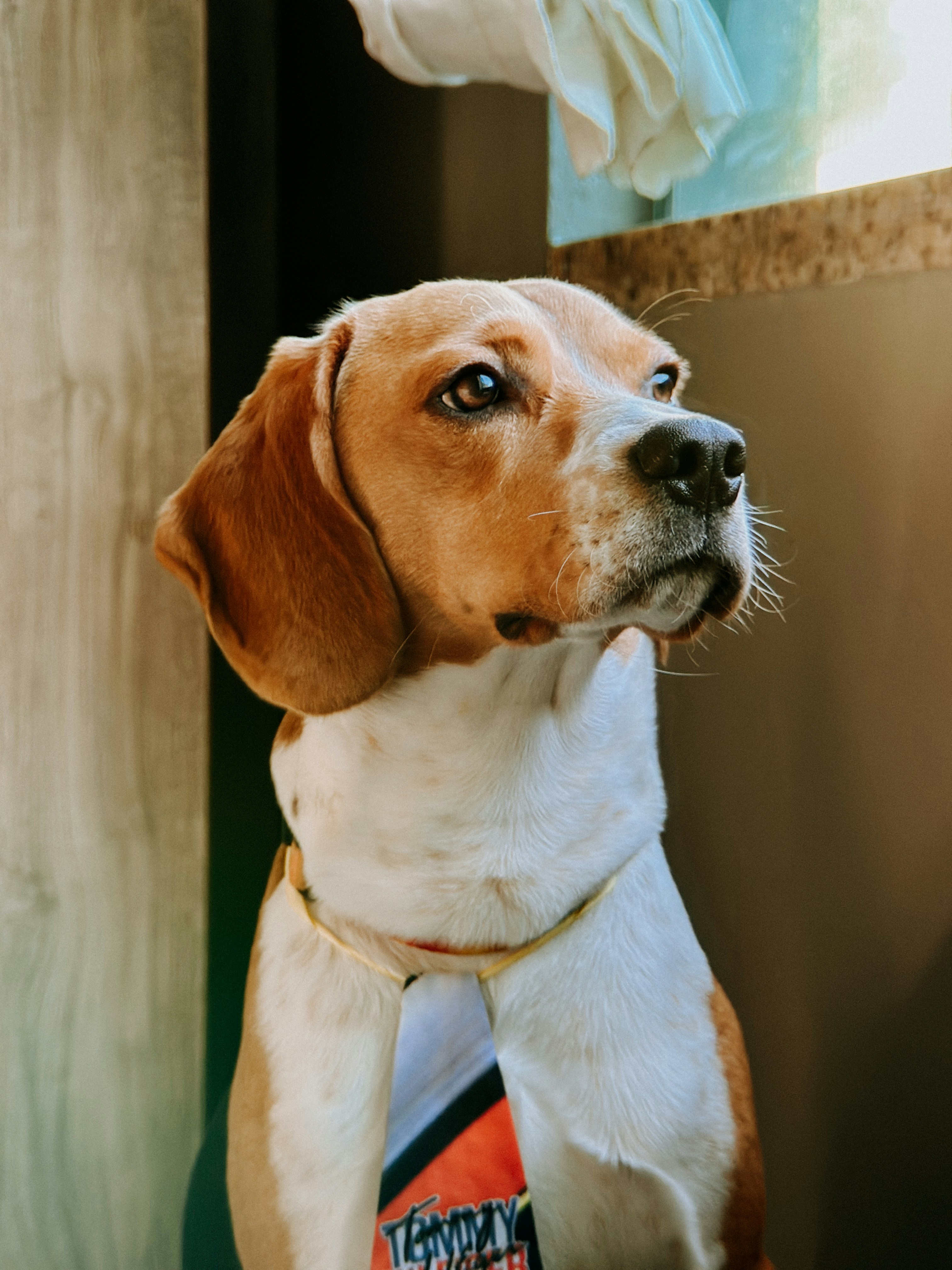 Photo by janilson_oficial